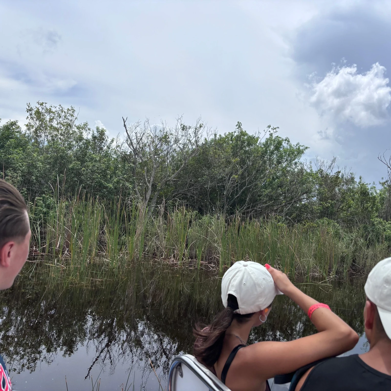 Everglades Tour ab Miami mit Airboat und Transfer
