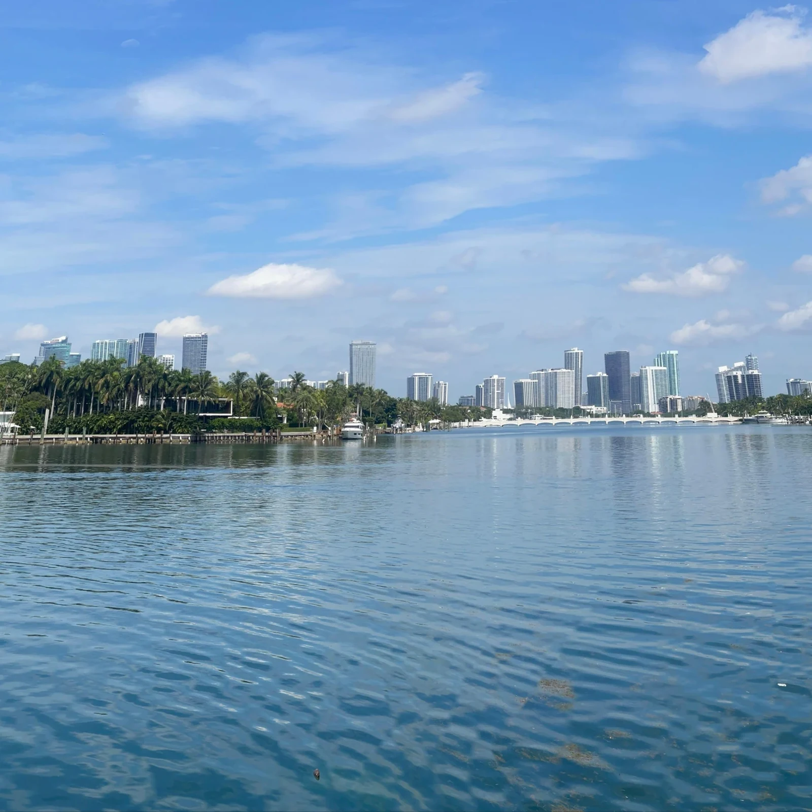 Croisière à Biscayne Bay et maisons de célébrités à Miami