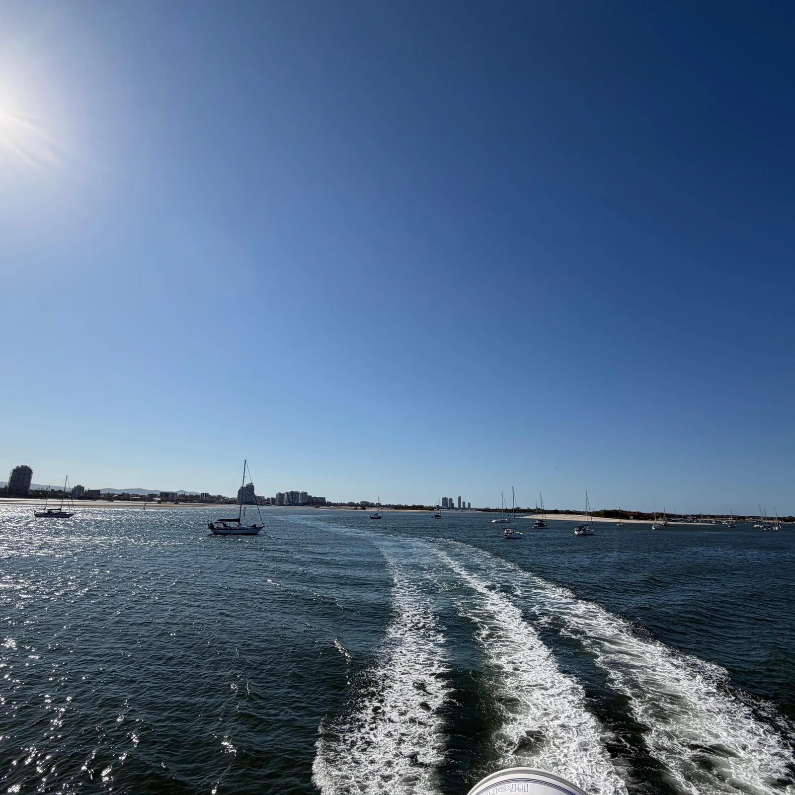 Premium-Walbeobachtung an der Gold Coast