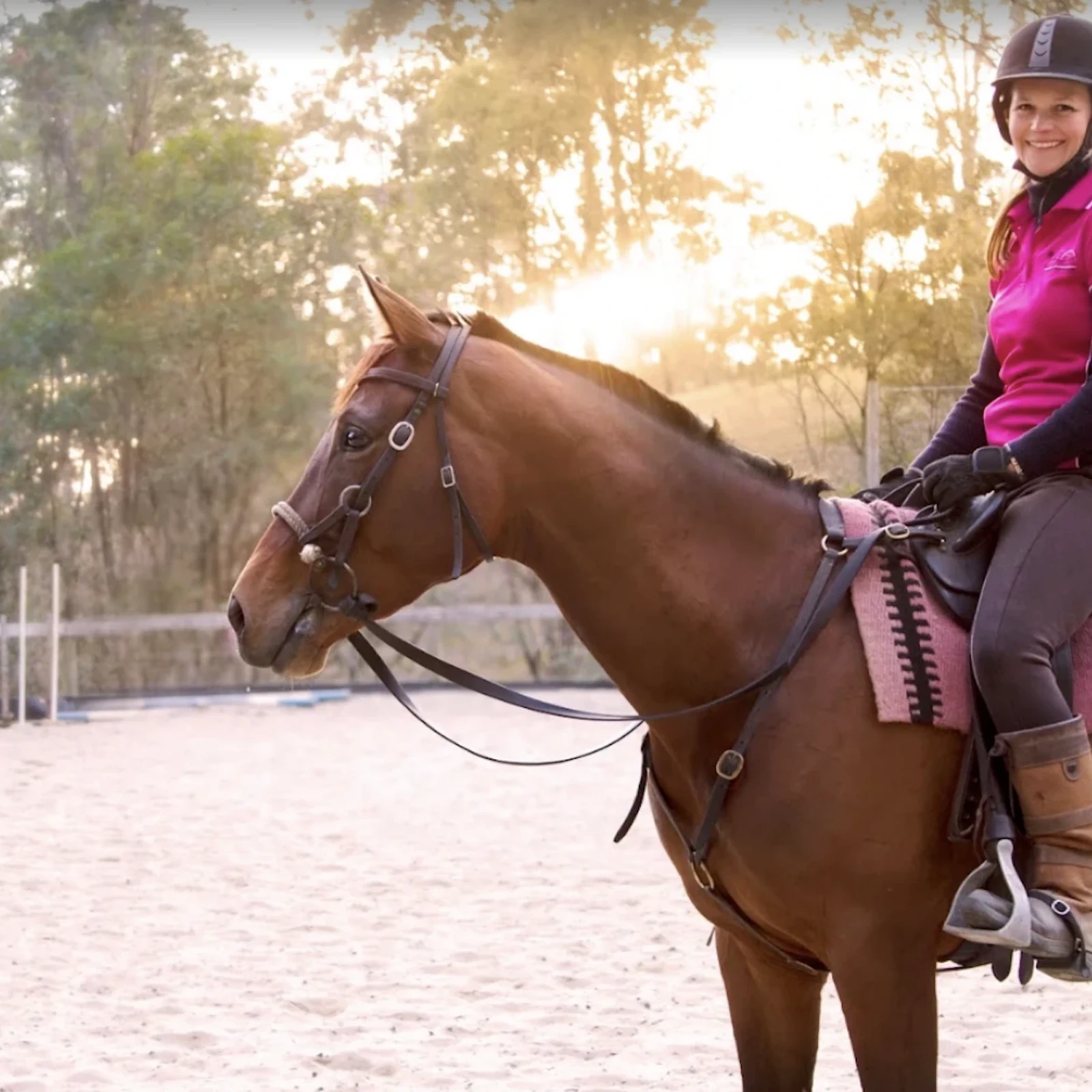 Gold Coast Horse Experience: Horse Whispering in Bonogin Valley