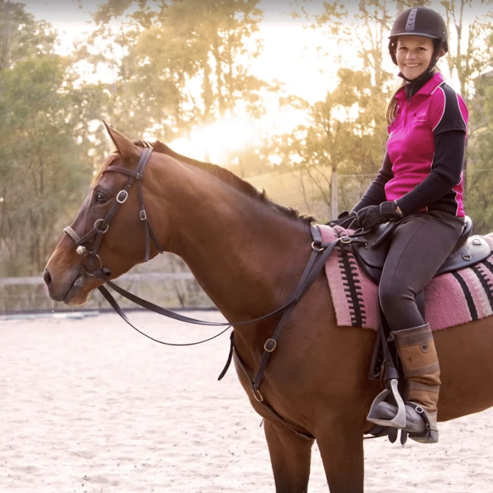 Gold Coast horse experience: learn how to communicate with horses