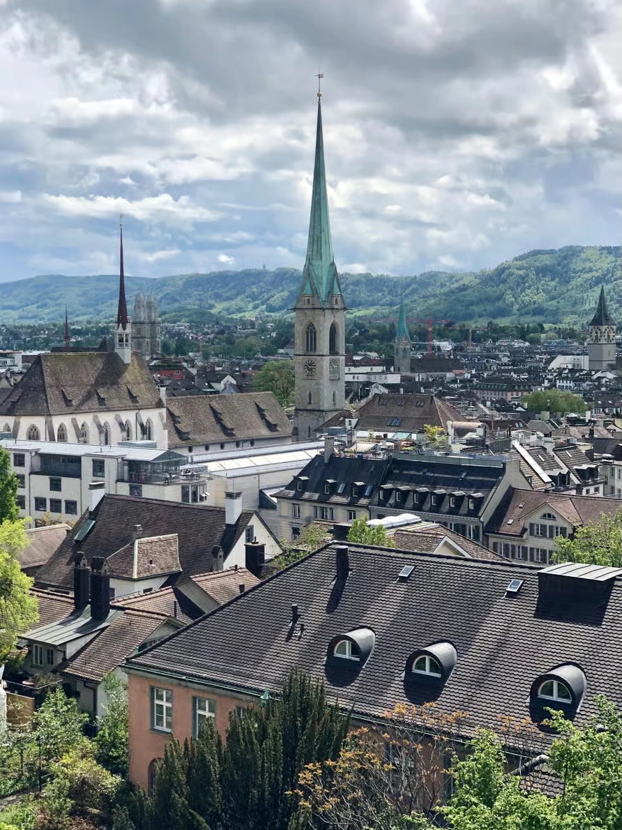 Zurich city tour with ferry, cable car, Old Town and Felsenegg