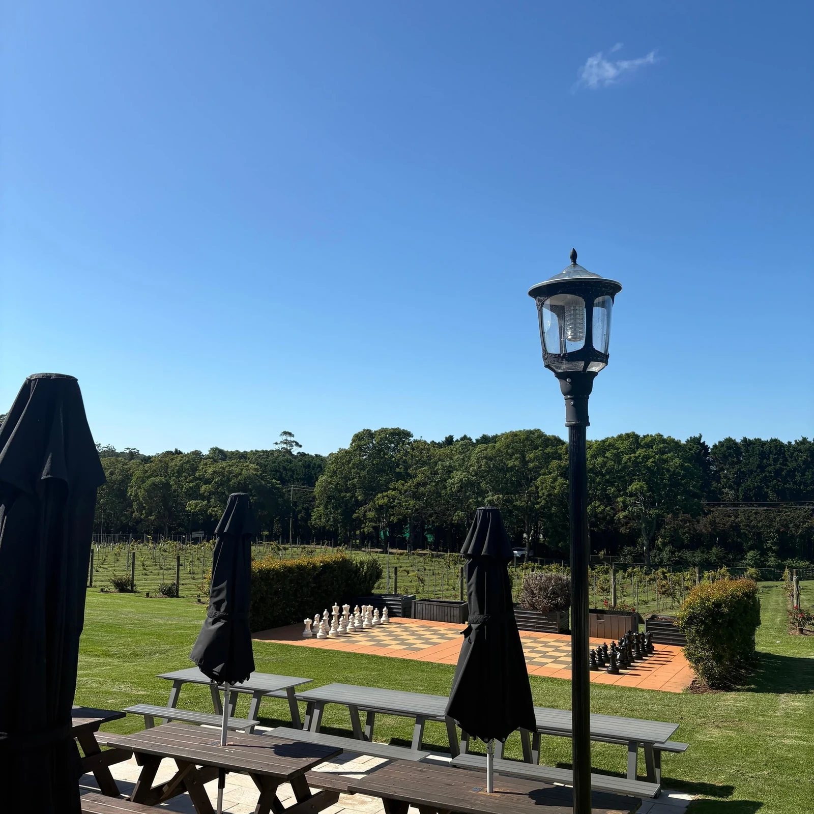 Excursion vignobles Tamborine Mountain depuis Gold Coast