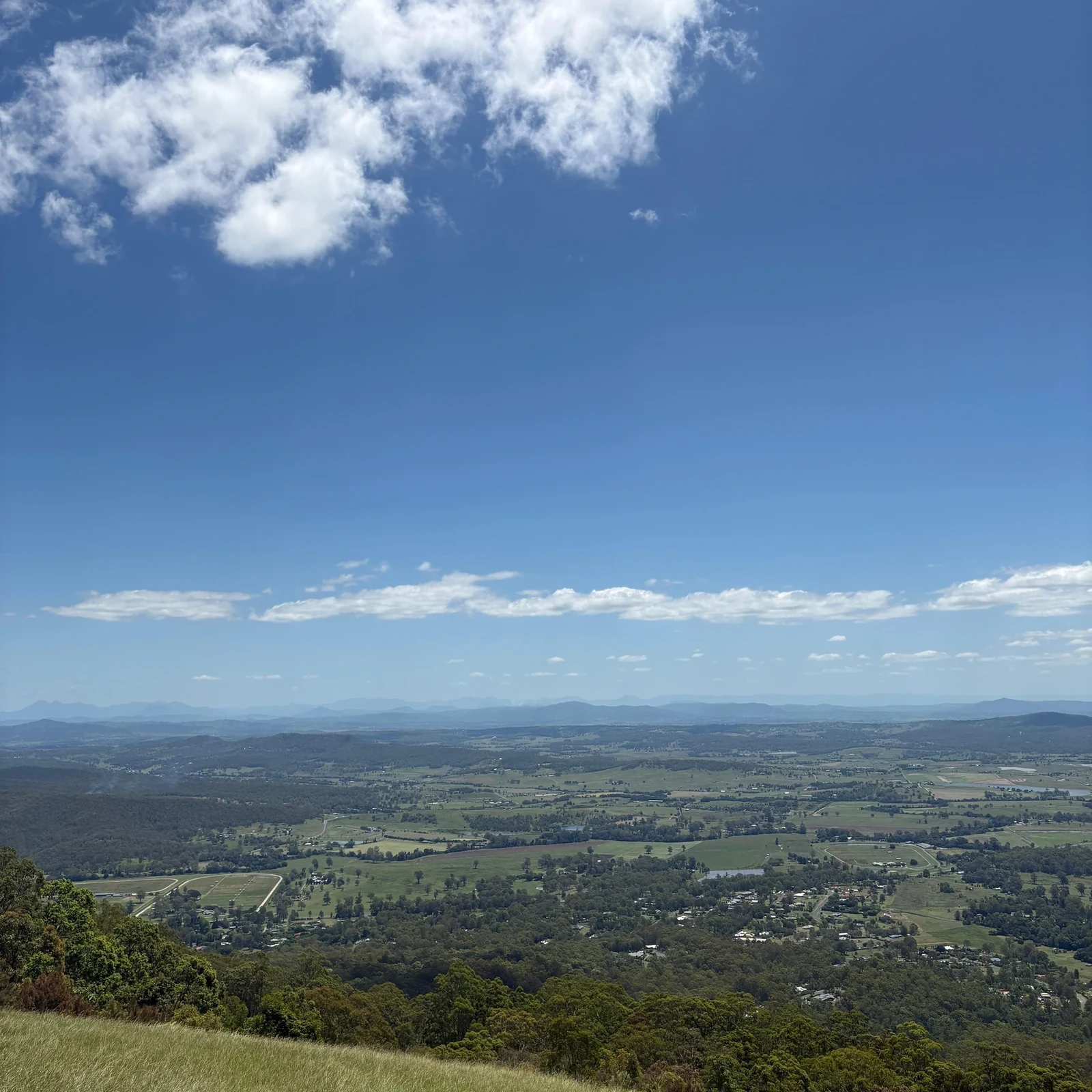 Excursion vignobles Tamborine Mountain depuis Gold Coast