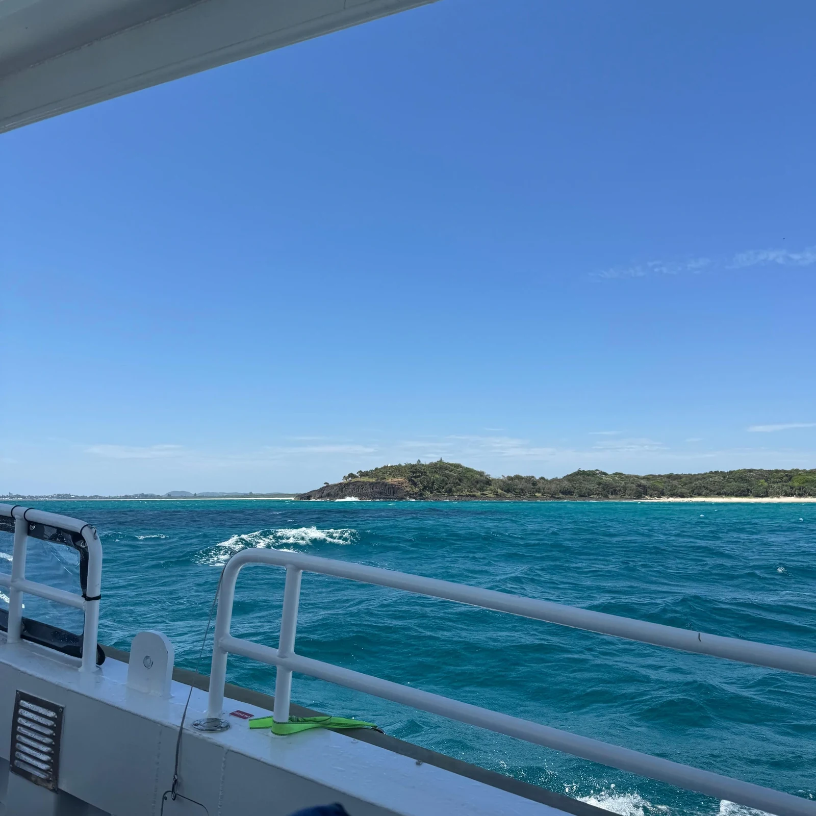 Schnorcheln mit Schildkröten an der Gold Coast und Cook Island