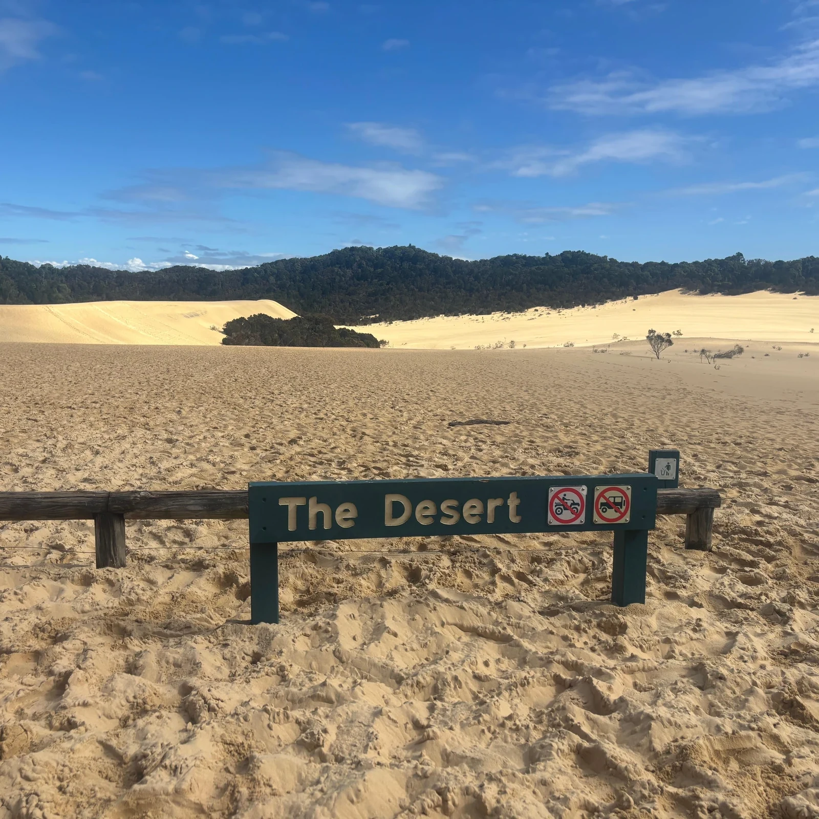 Moreton Island Tagesausflug ab Gold Coast: Kajak, Schnorcheln und Sandboarding