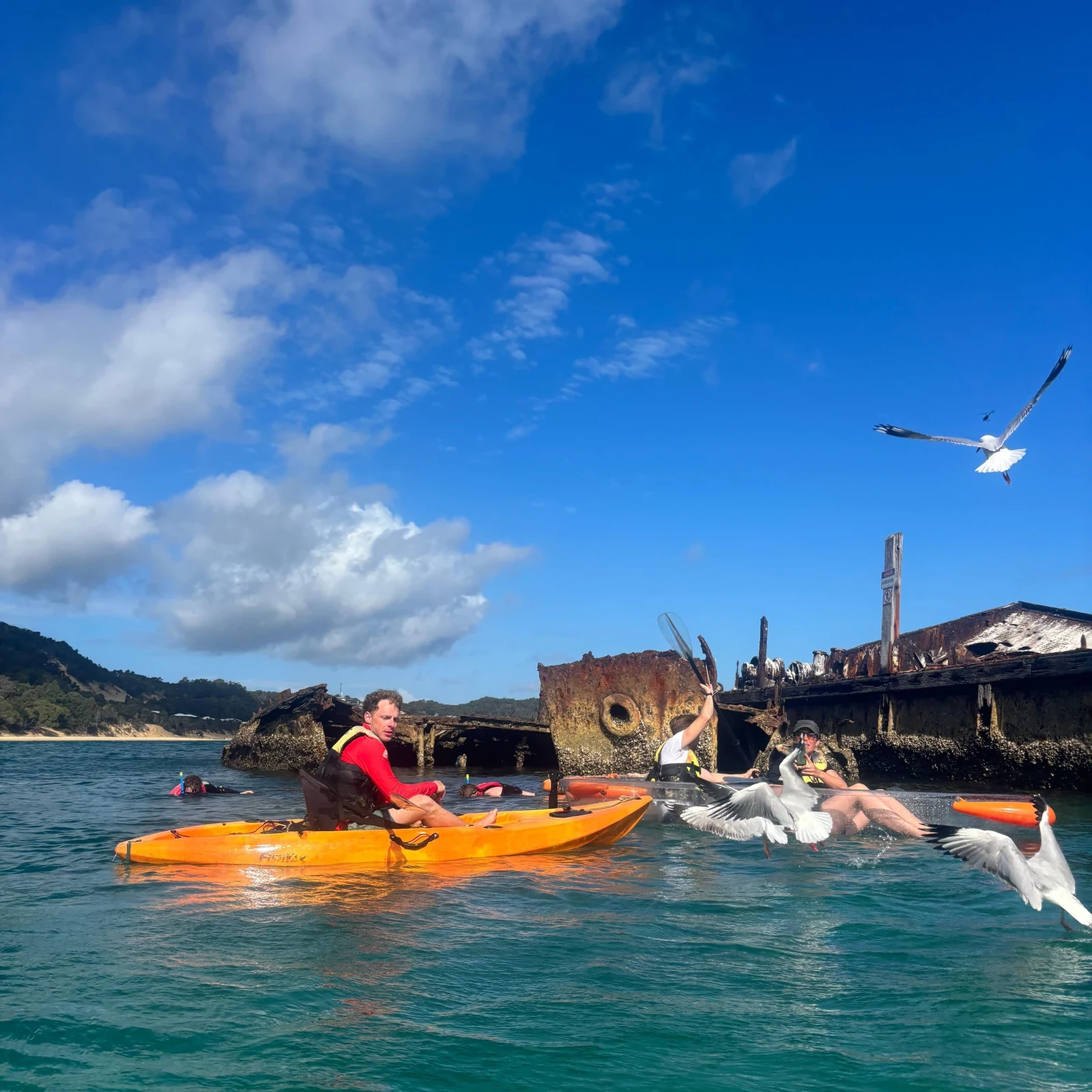 Excursion à Moreton Island depuis Gold Coast : kayak, snorkeling et sandboard