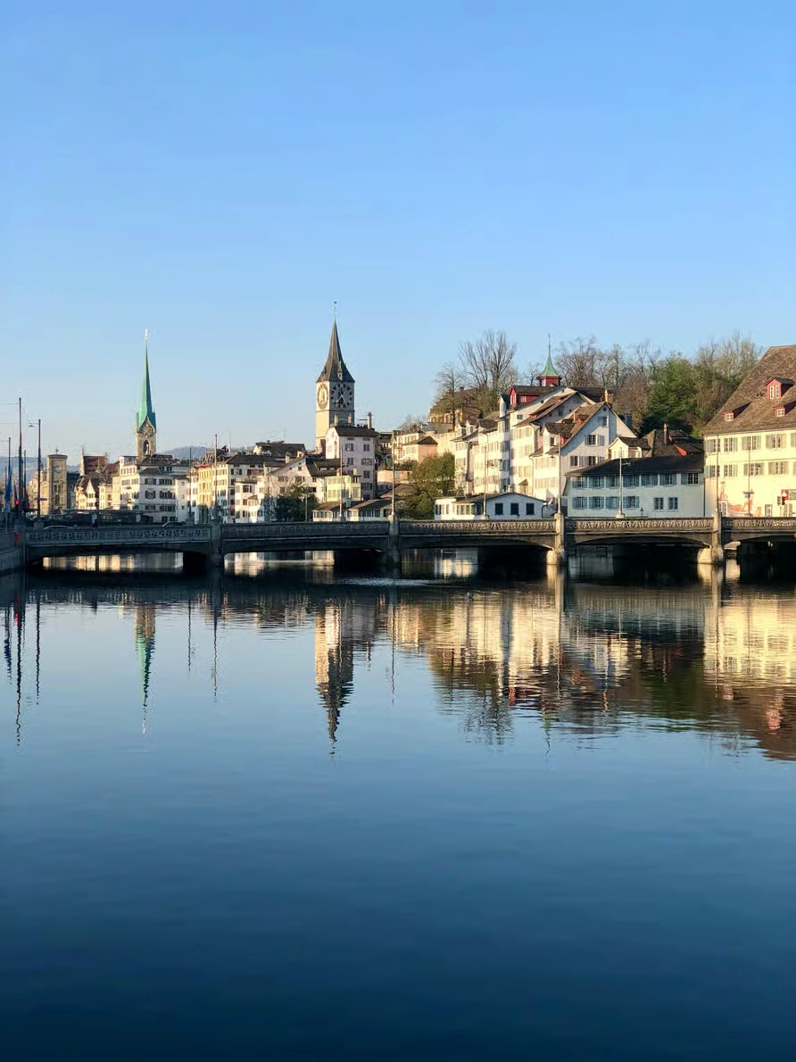 Zurich city tour with ferry, cable car, Old Town and Felsenegg