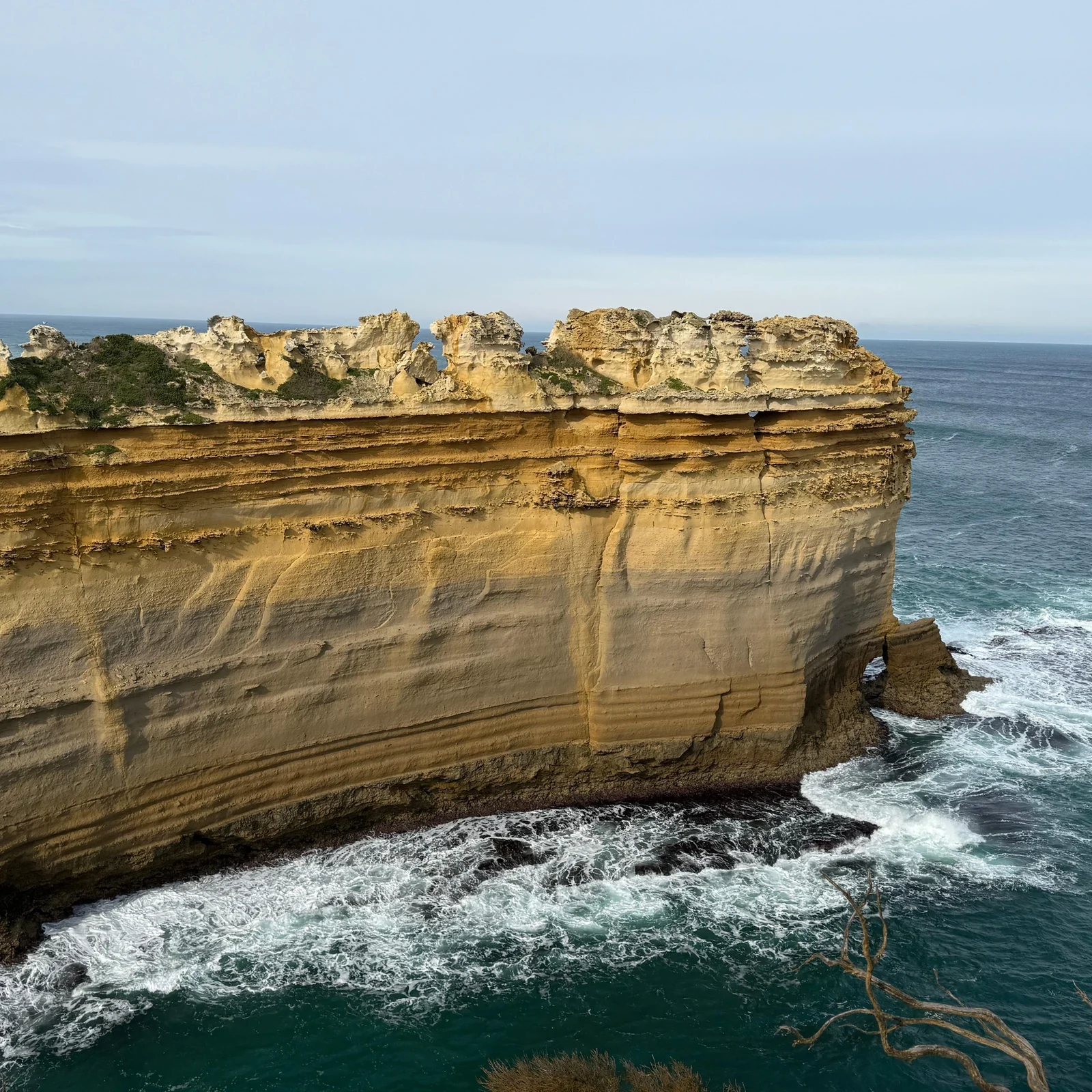 Excursion Great Ocean Road depuis Melbourne : 12 Apôtres et itinéraire inversé