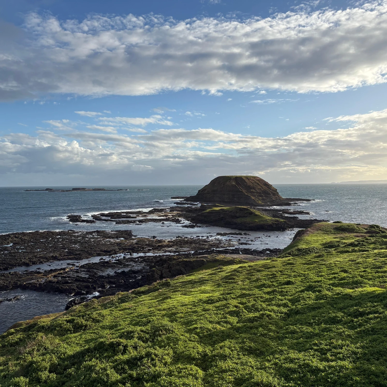 Excursión a Phillip Island desde Melbourne: fauna australiana y Penguin Parade