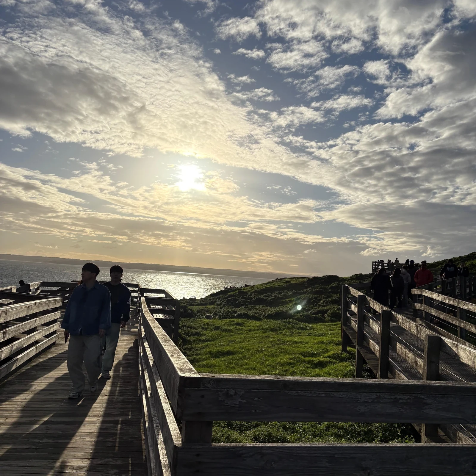 Excursión a Phillip Island desde Melbourne: fauna australiana y Penguin Parade