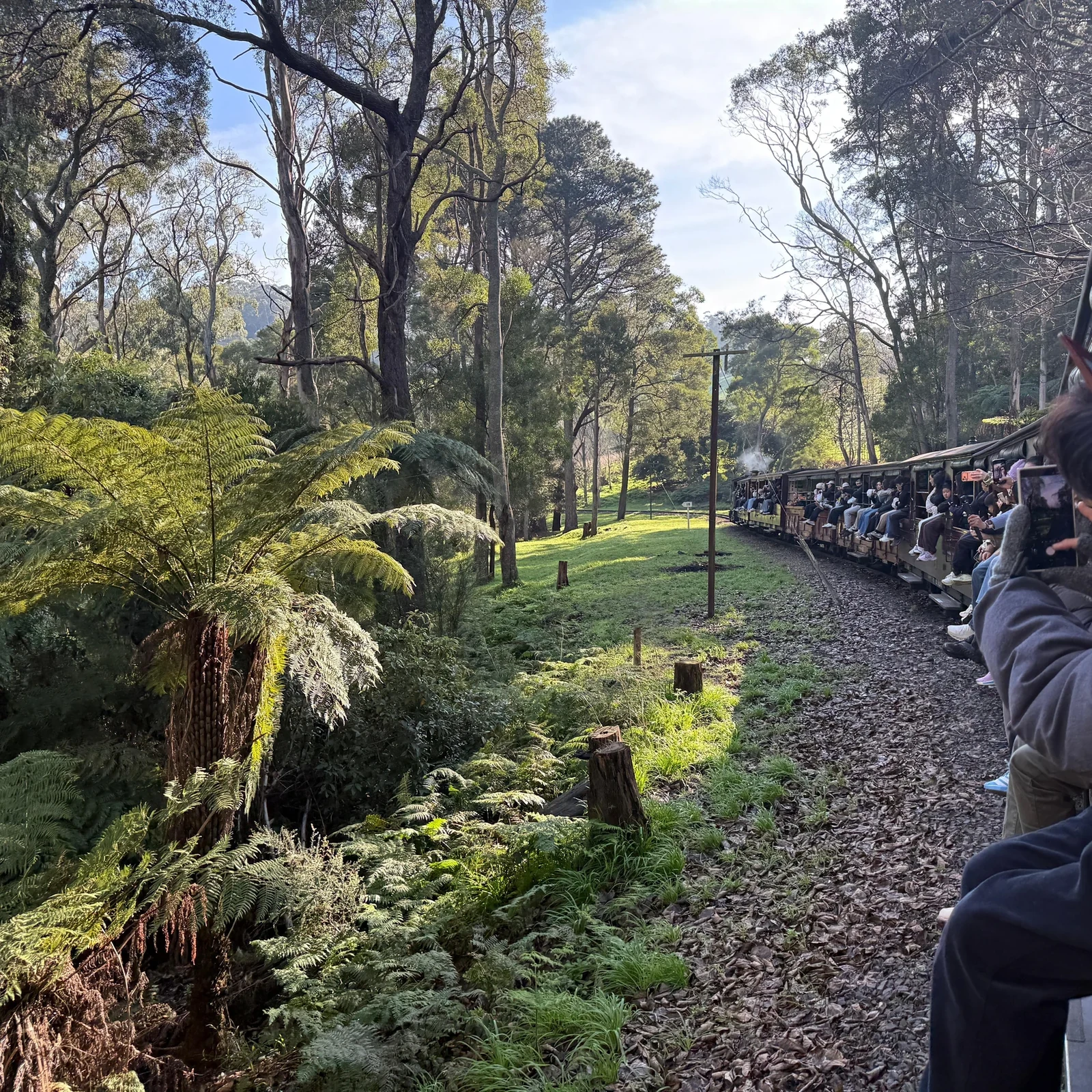 Puffing Billy y Penguin Parade desde Melbourne: excursión de día completo con tren histórico y fauna
