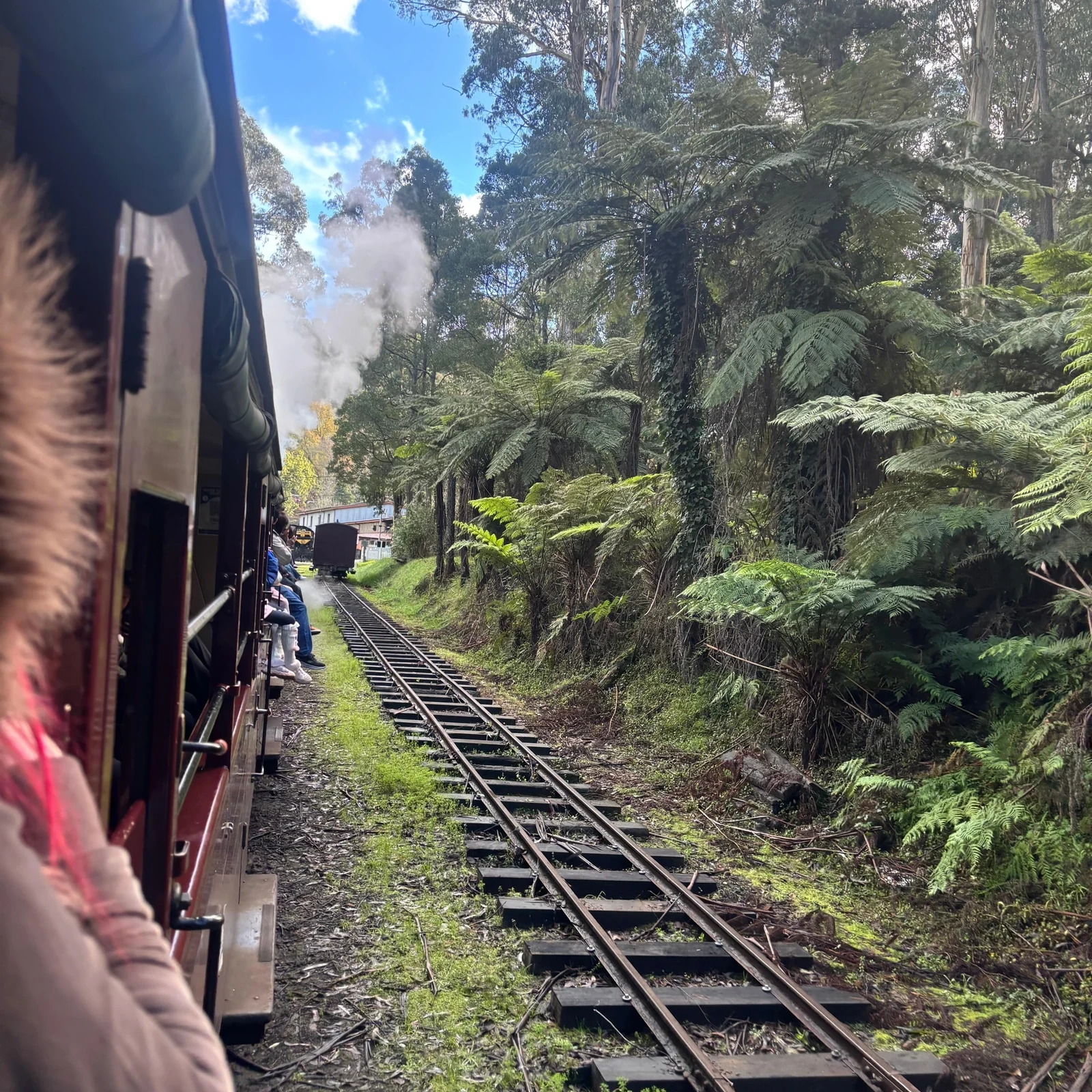 Puffing Billy und Penguin Parade an einem Tag ab Melbourne