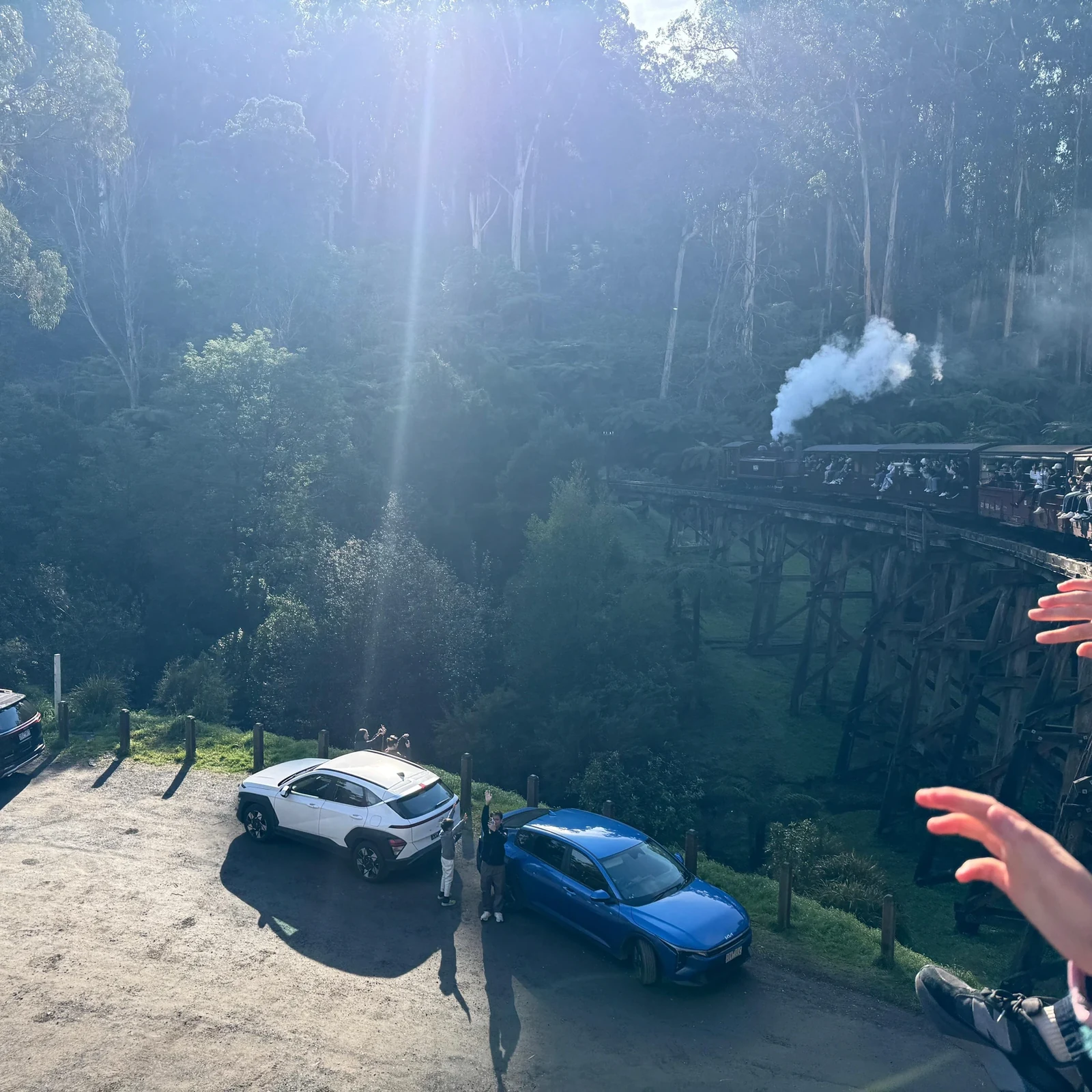 Puffing Billy und Penguin Parade an einem Tag ab Melbourne