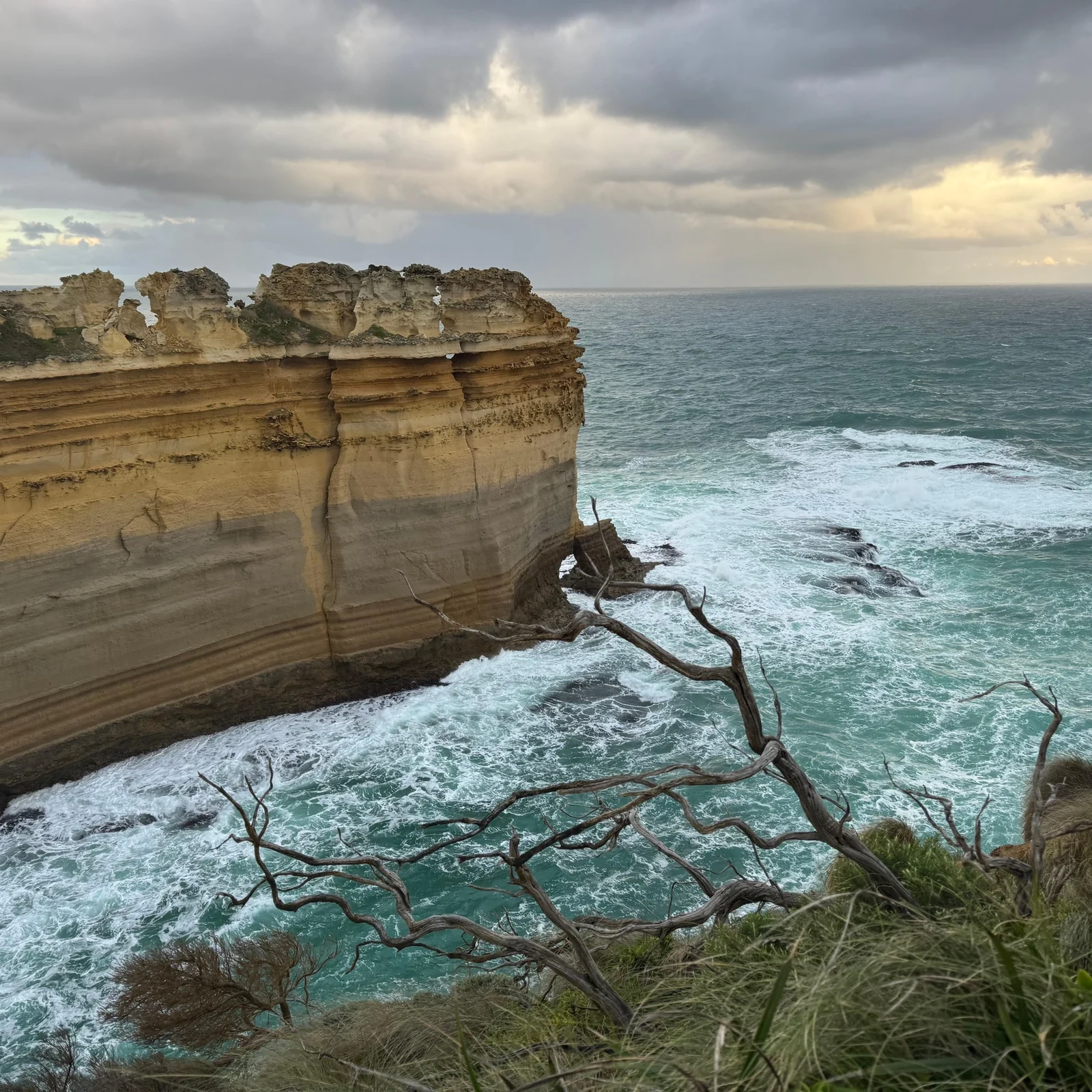 Great Ocean Road Discovery from Melbourne: 12 Apostles, koalas and coastal scenery