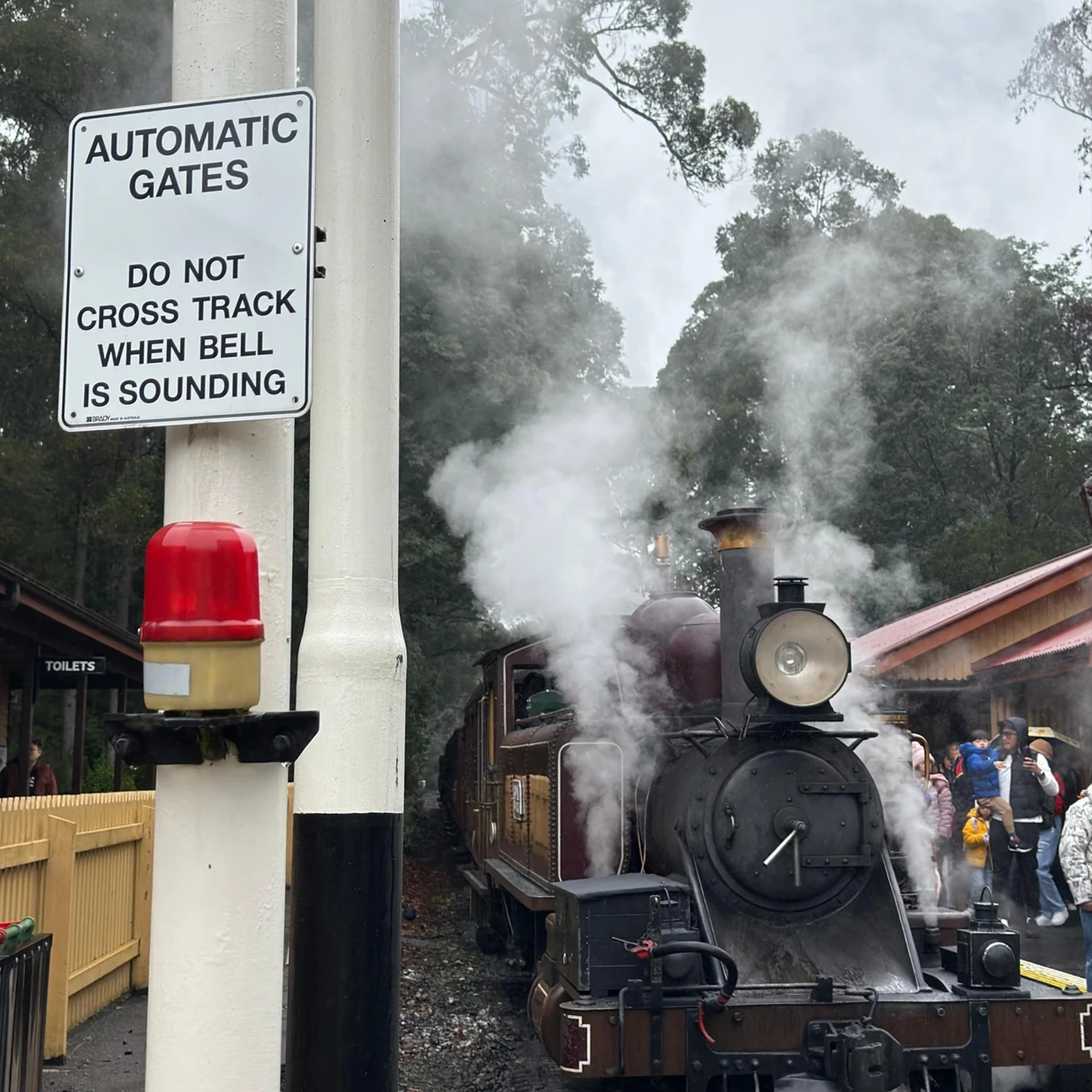 Puffing Billy depuis Melbourne : train à vapeur et Dandenong Ranges