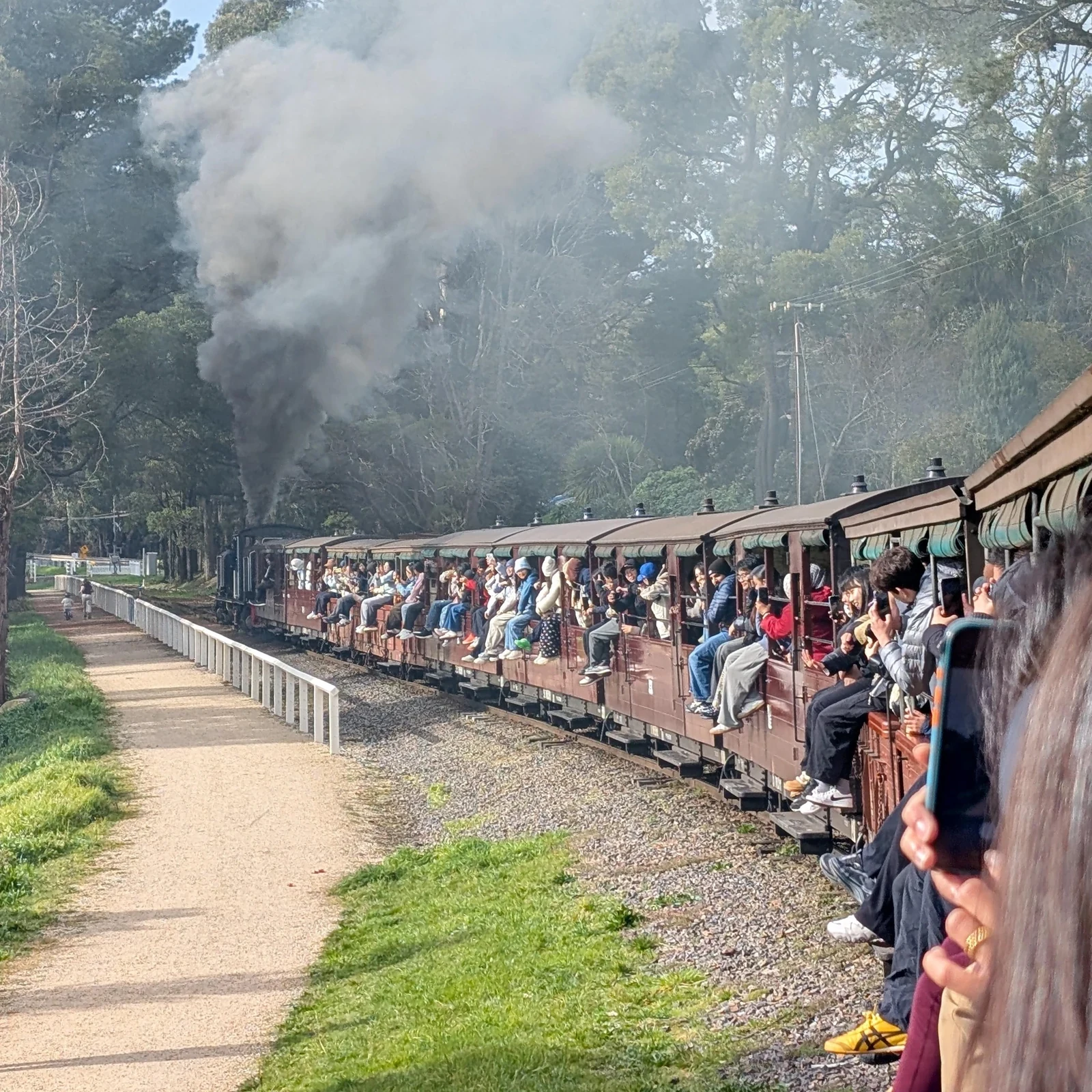 Puffing Billy depuis Melbourne : train à vapeur et Dandenong Ranges