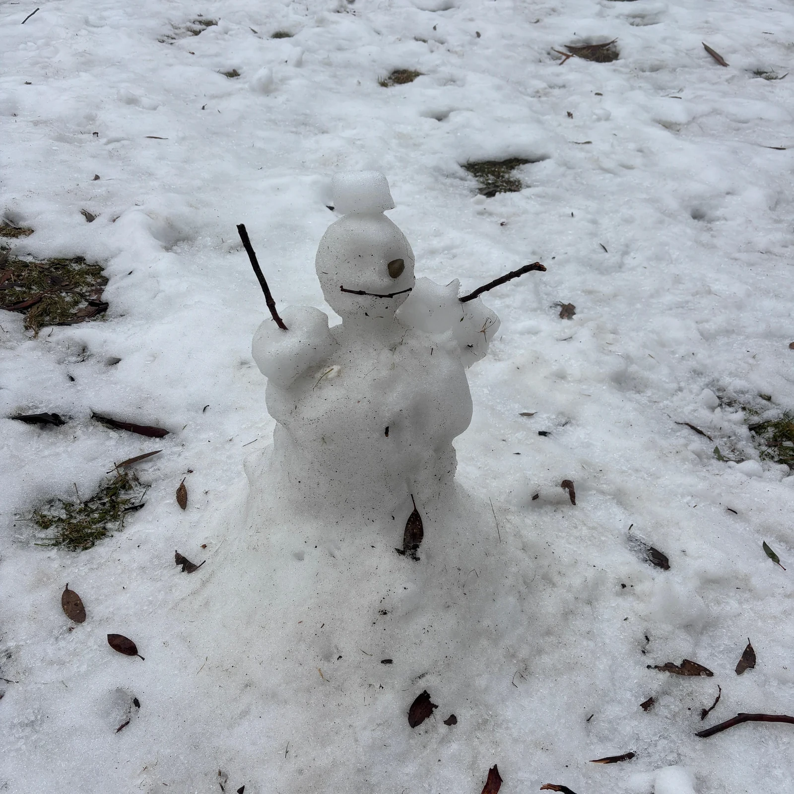 Mount Buller ab Melbourne: ein Schneetag ohne selbst zu fahren