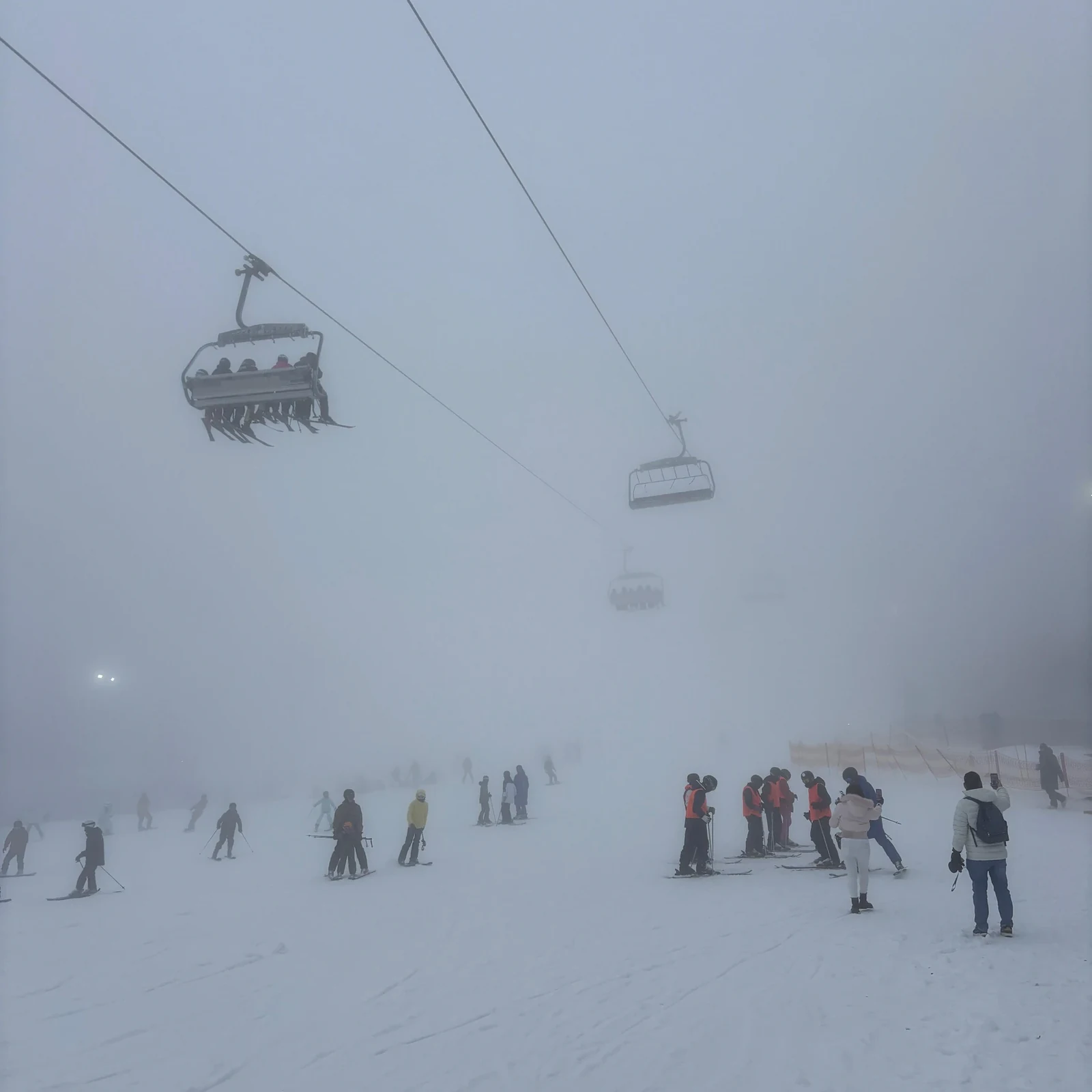 Mount Buller ab Melbourne: ein Schneetag ohne selbst zu fahren