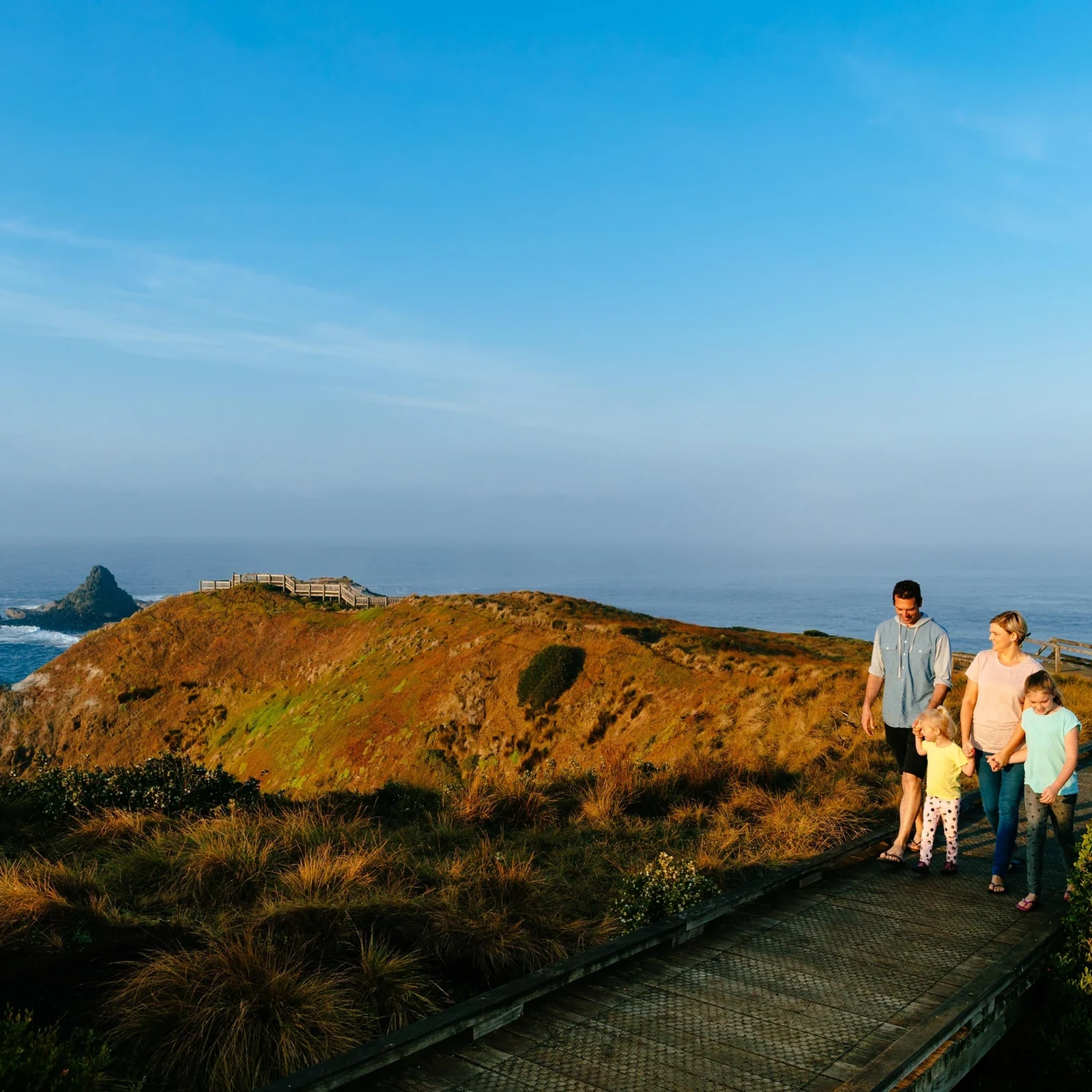 Phillip Island, koalas y Penguin Parade desde Melbourne