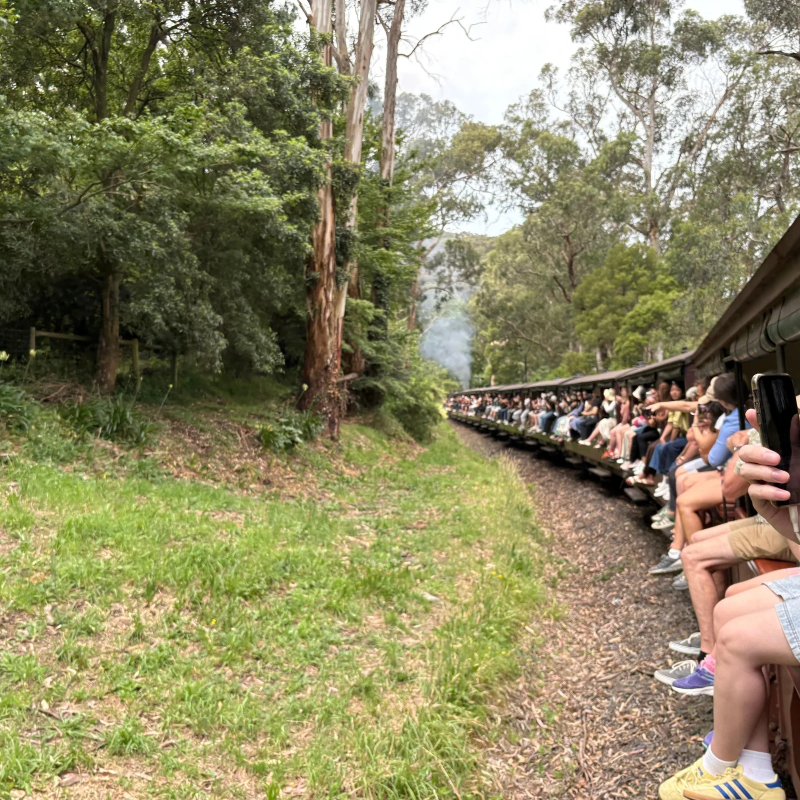 Puffing Billy Railway & Dandenong Ranges ab Melbourne