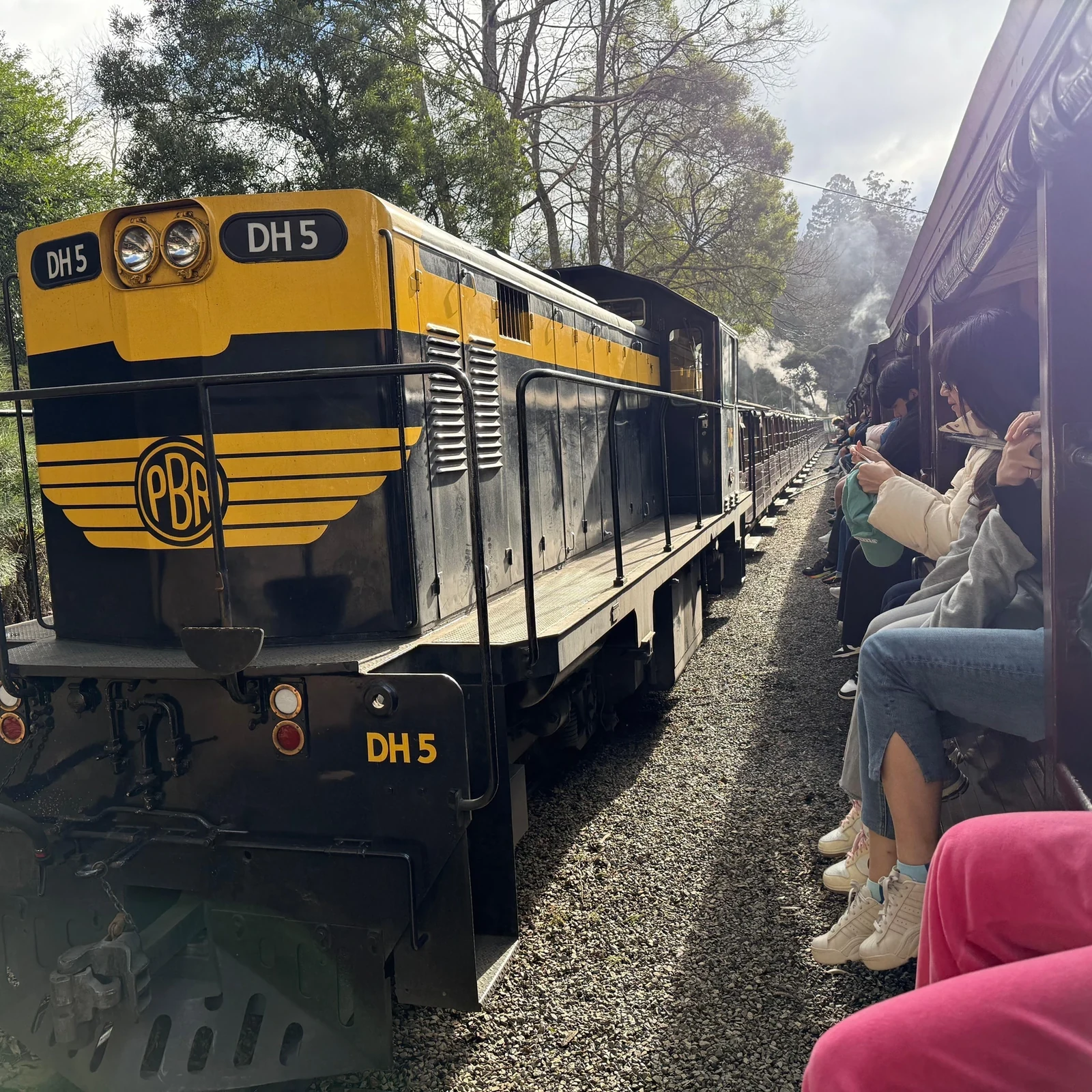 Puffing Billy y Penguin Parade en un día desde Melbourne