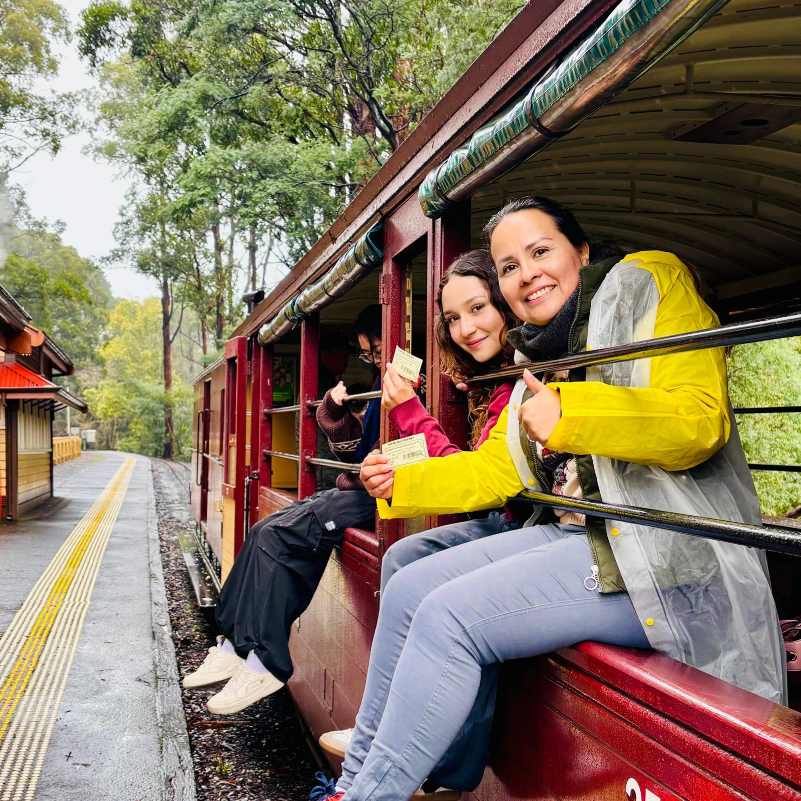 Puffing Billy y Penguin Parade en un día desde Melbourne
