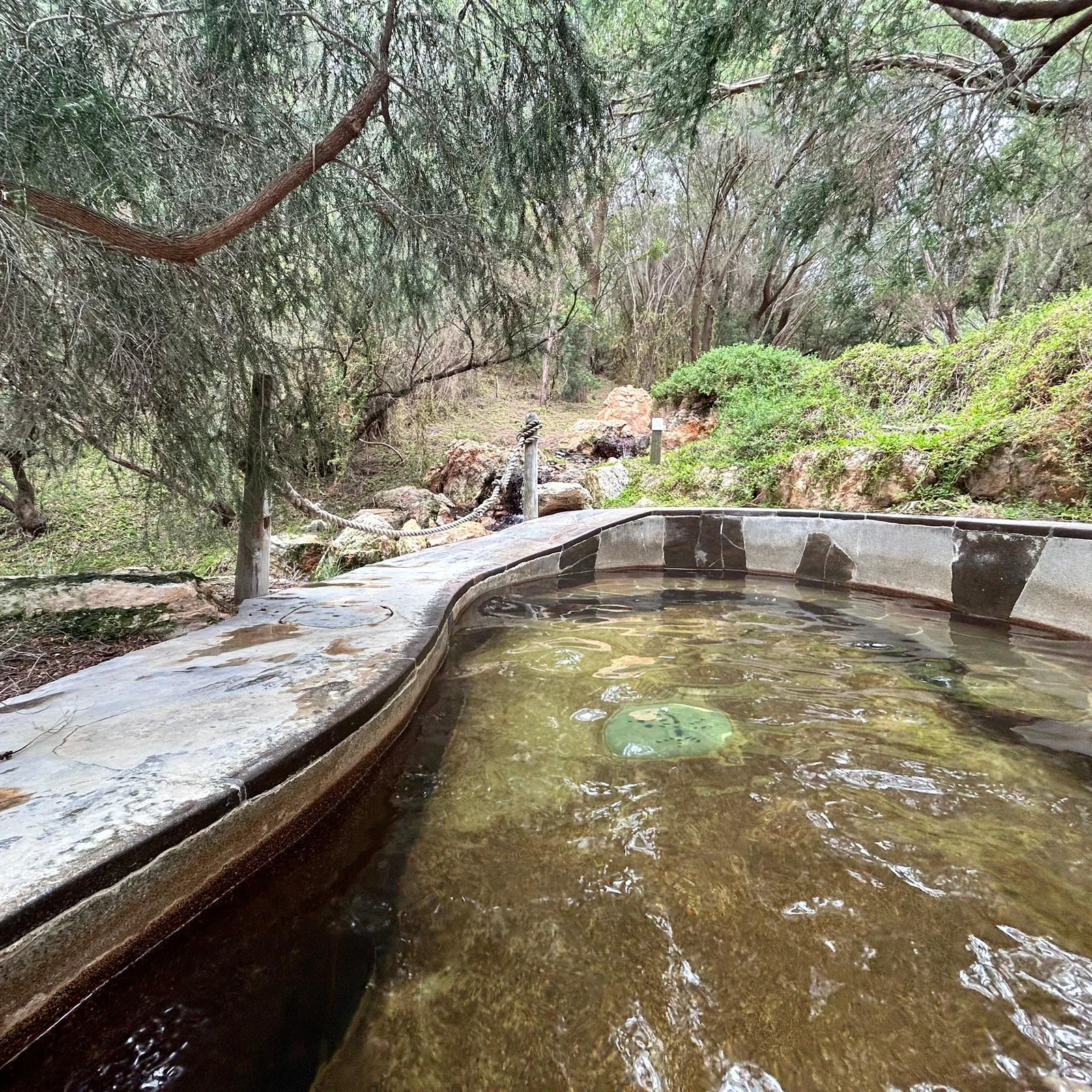 Peninsula Hot Springs : 5 heures de détente et plus de 50 expériences de bain