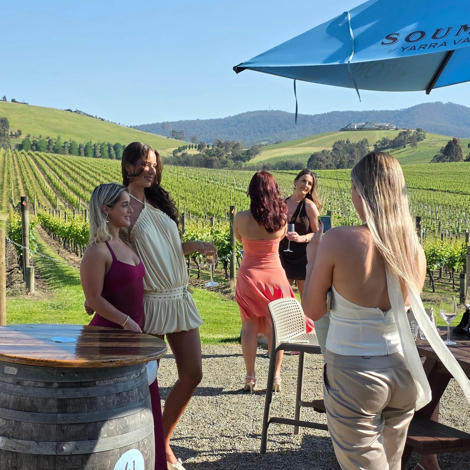 Yarra Valley en medio día: 3 bodegas y más de 16 vinos