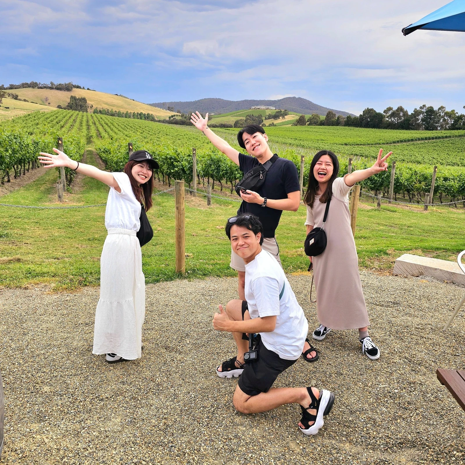 Yarra Valley en medio día: 3 bodegas y más de 16 vinos