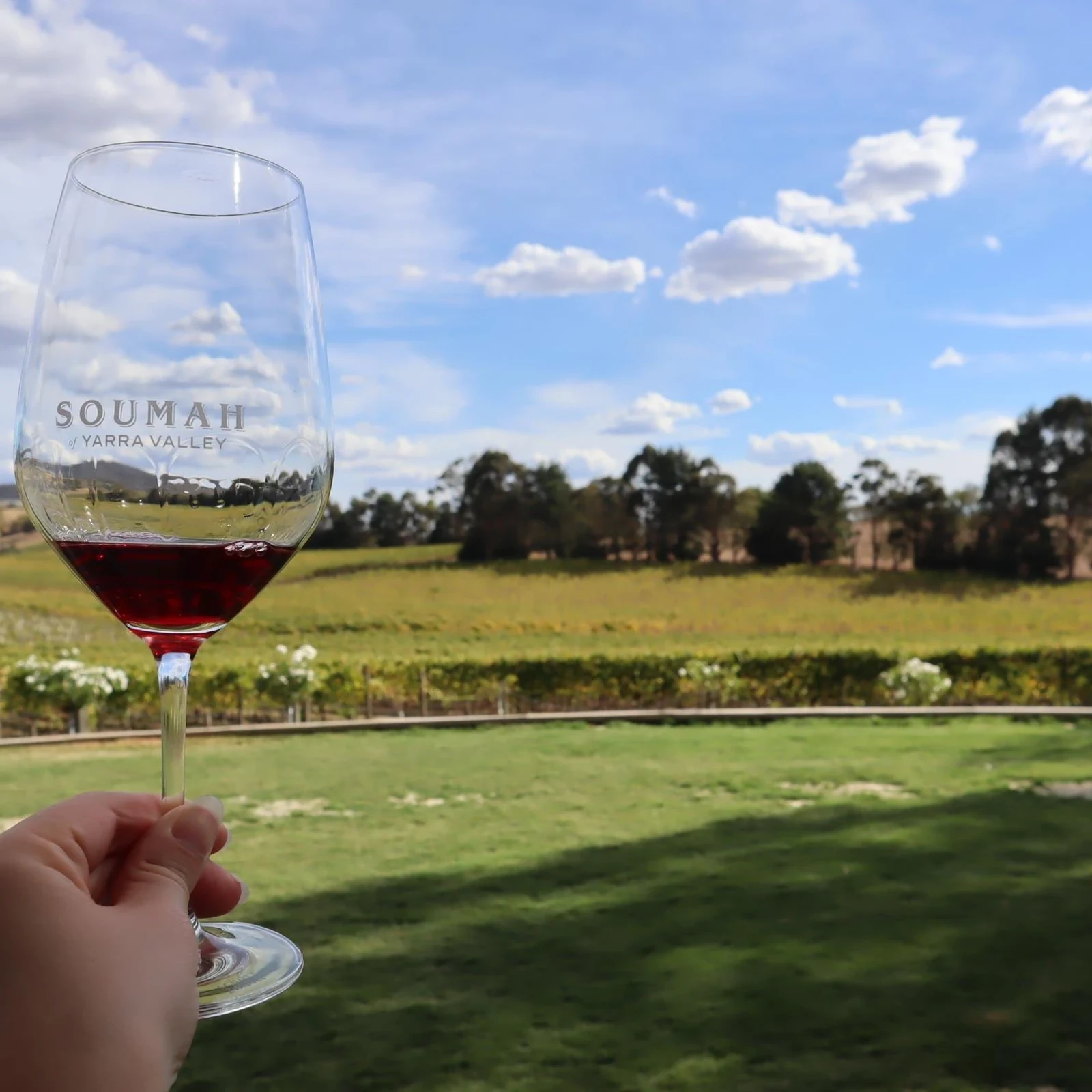 Yarra Valley an einem halben Tag: 3 Weingüter und über 16 Weine
