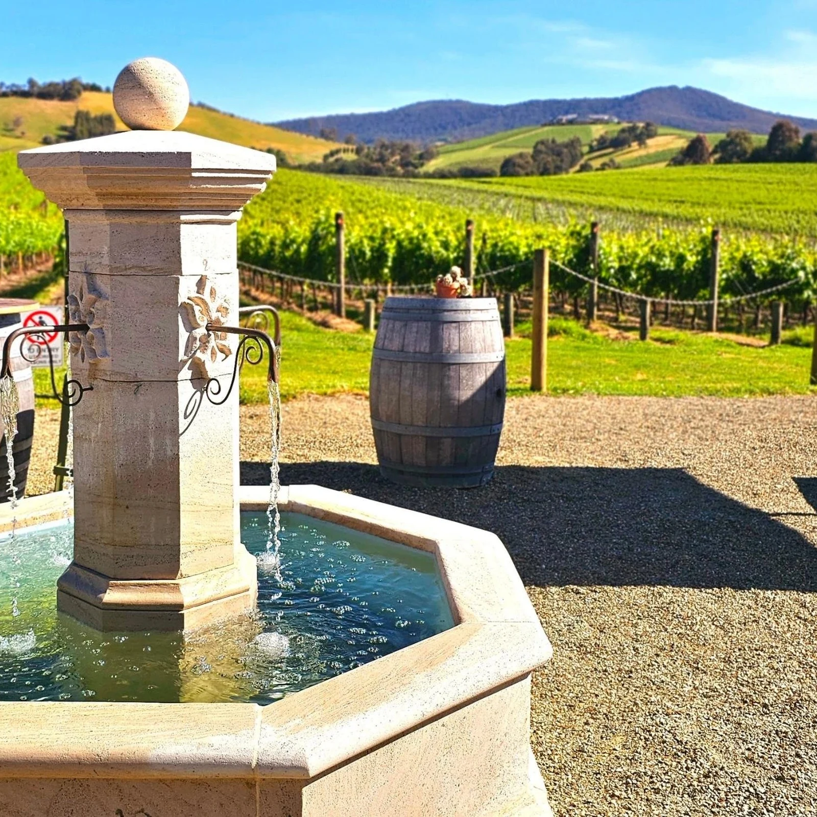 Yarra Valley an einem halben Tag: 3 Weingüter und über 16 Weine