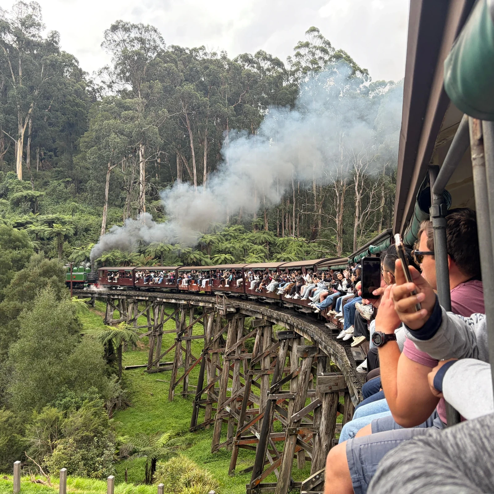Puffing Billy et Penguin Parade depuis Melbourne