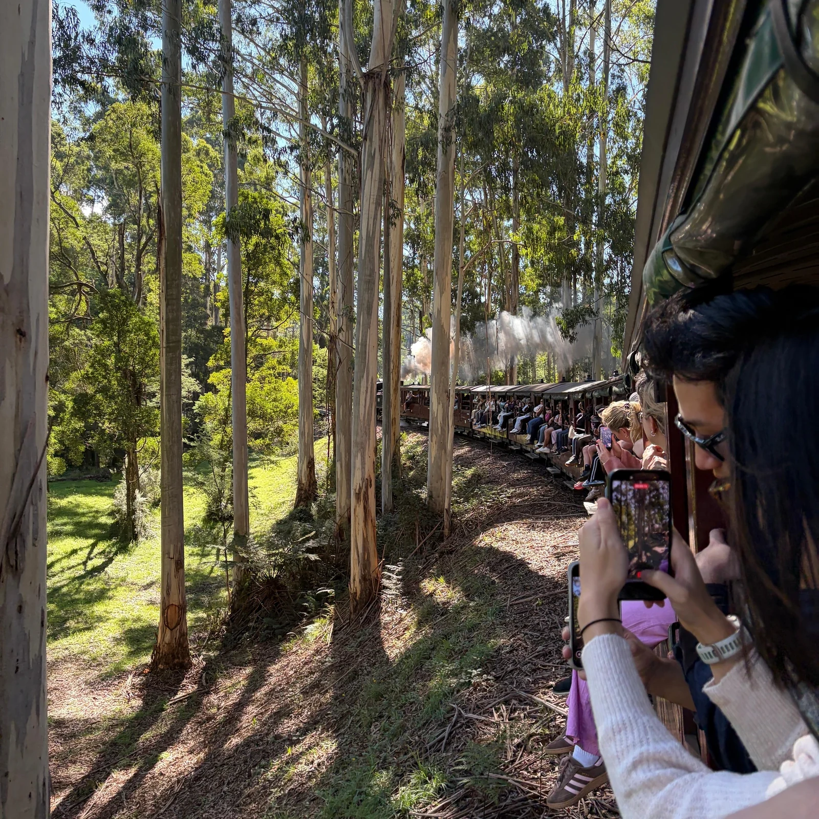 Puffing Billy et Penguin Parade depuis Melbourne