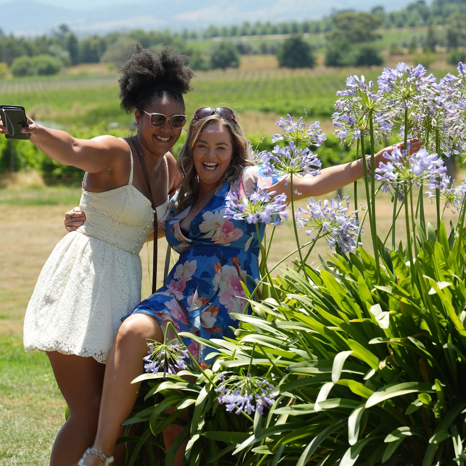Yarra Valley from Melbourne: Wine, Gin, Beer and Chocolate