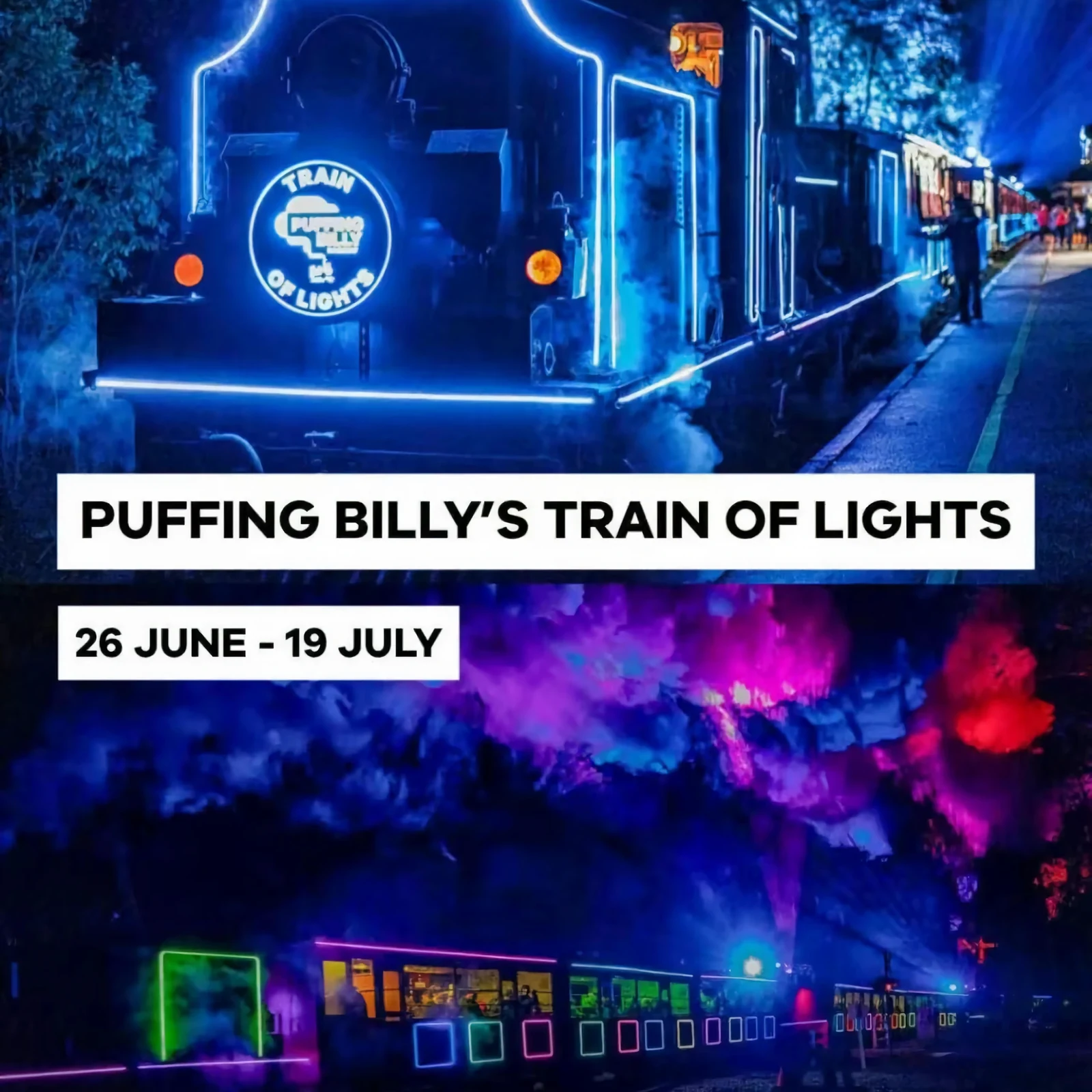 Puffing Billy, Penguin Parade, Yarra Valley et faune au départ de Melbourne