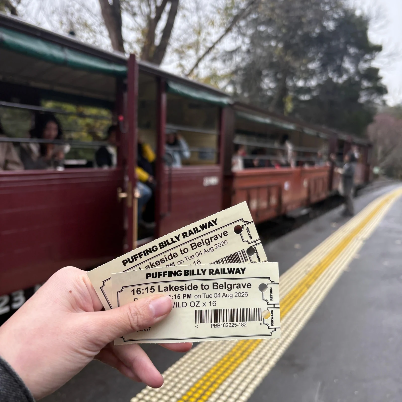 Puffing Billy, Penguin Parade, Yarra Valley und Tierwelt ab Melbourne