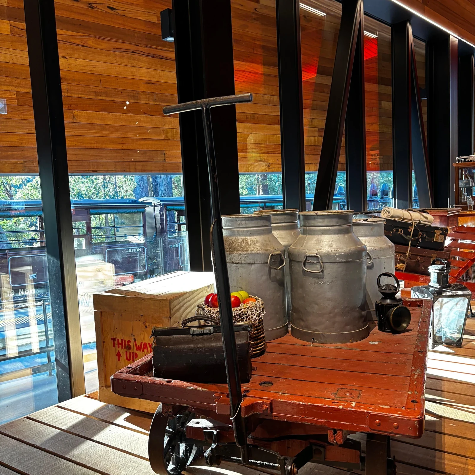 Puffing Billy, Penguin Parade, Yarra Valley und Tierwelt ab Melbourne