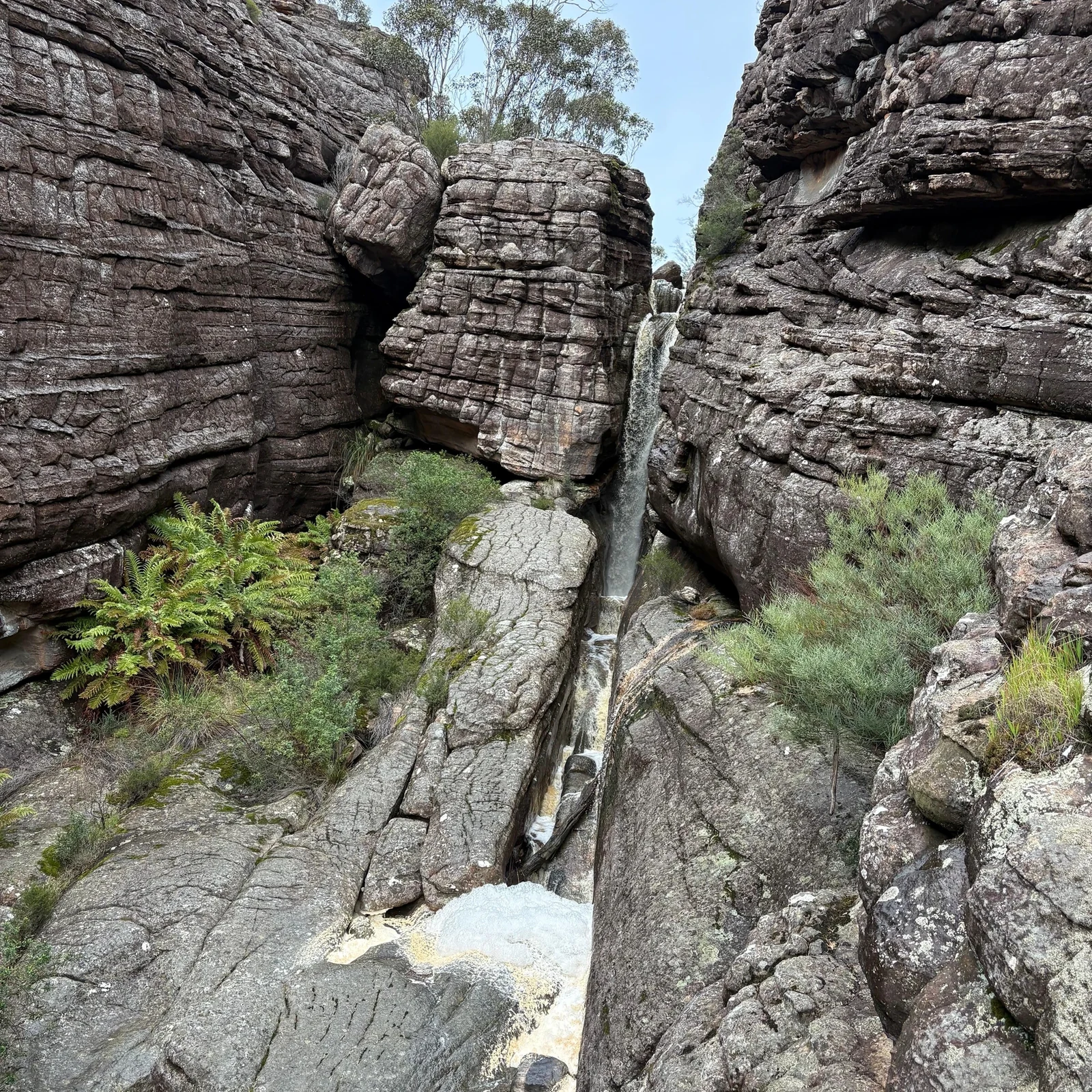 Grampians National Park Small-Group Eco Day Tour ab Melbourne