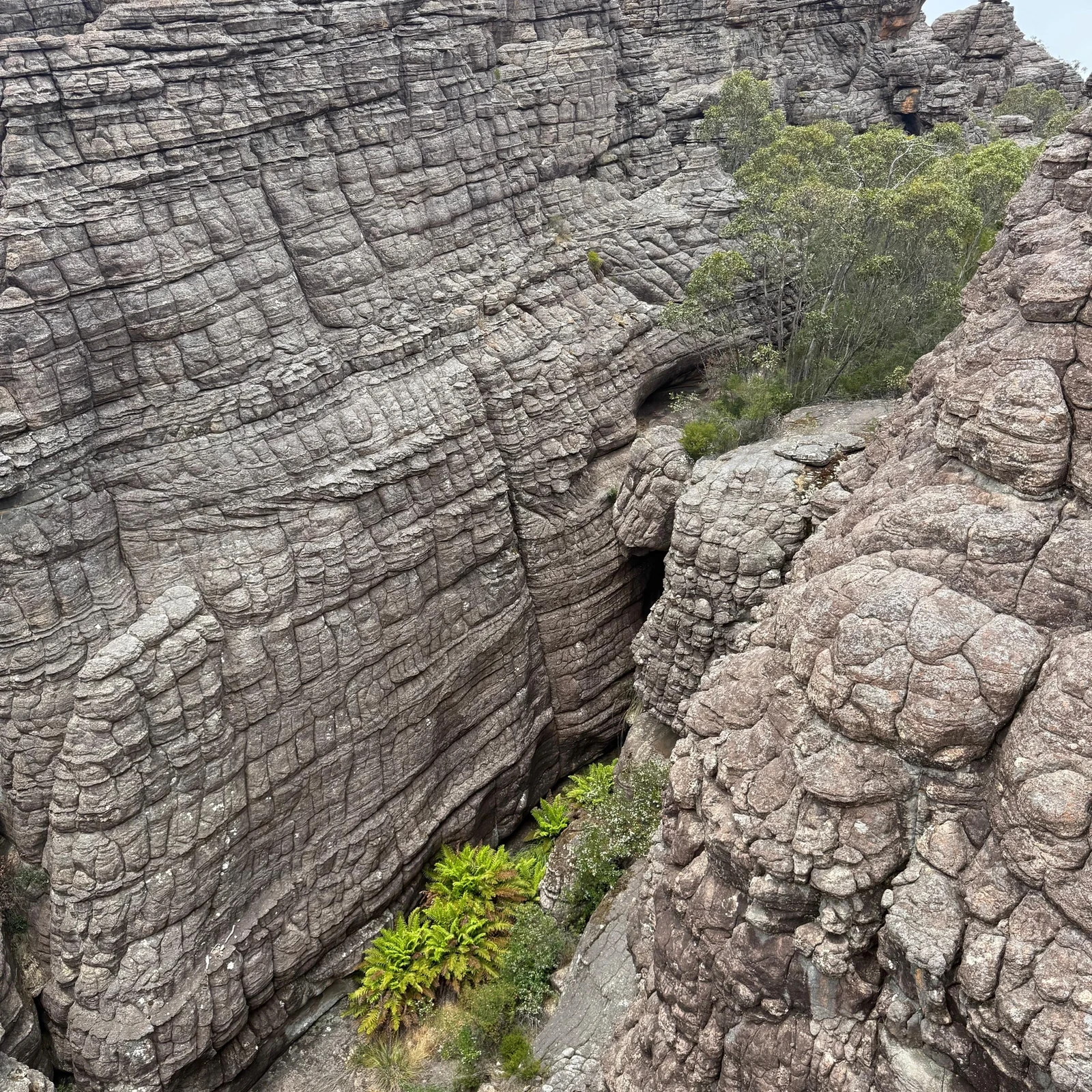 Les Grampians depuis Melbourne : nature, panoramas et faune