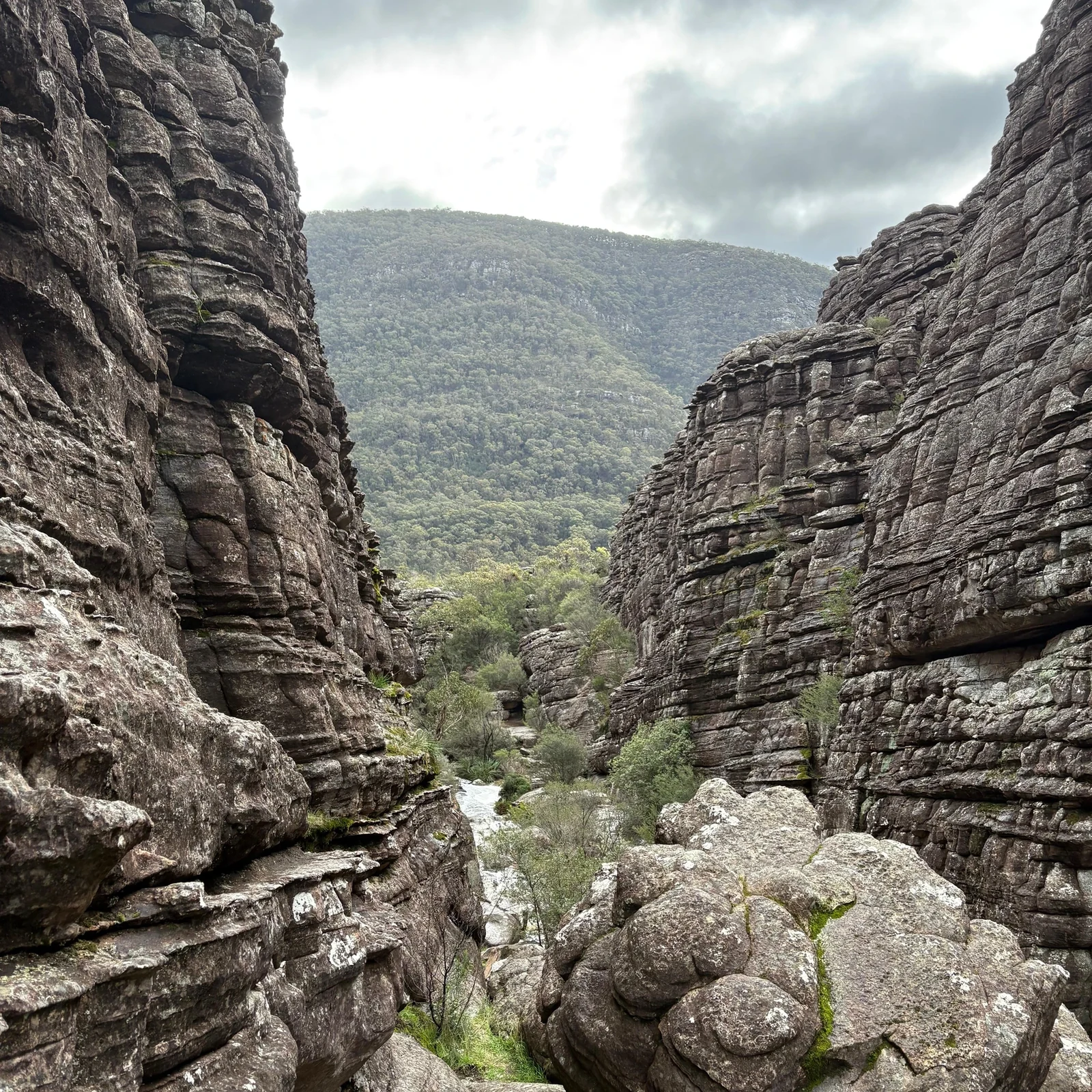 Les Grampians depuis Melbourne : nature, panoramas et faune