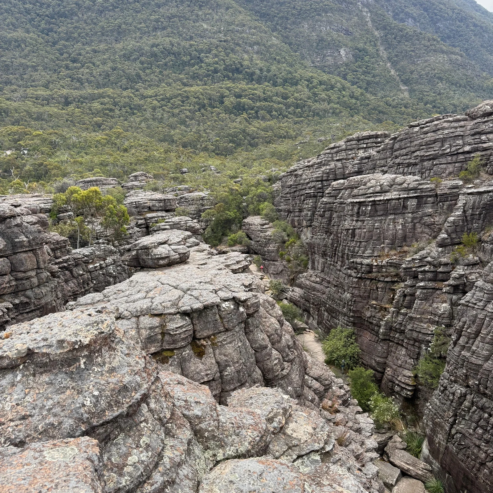 Les Grampians depuis Melbourne : nature, panoramas et faune