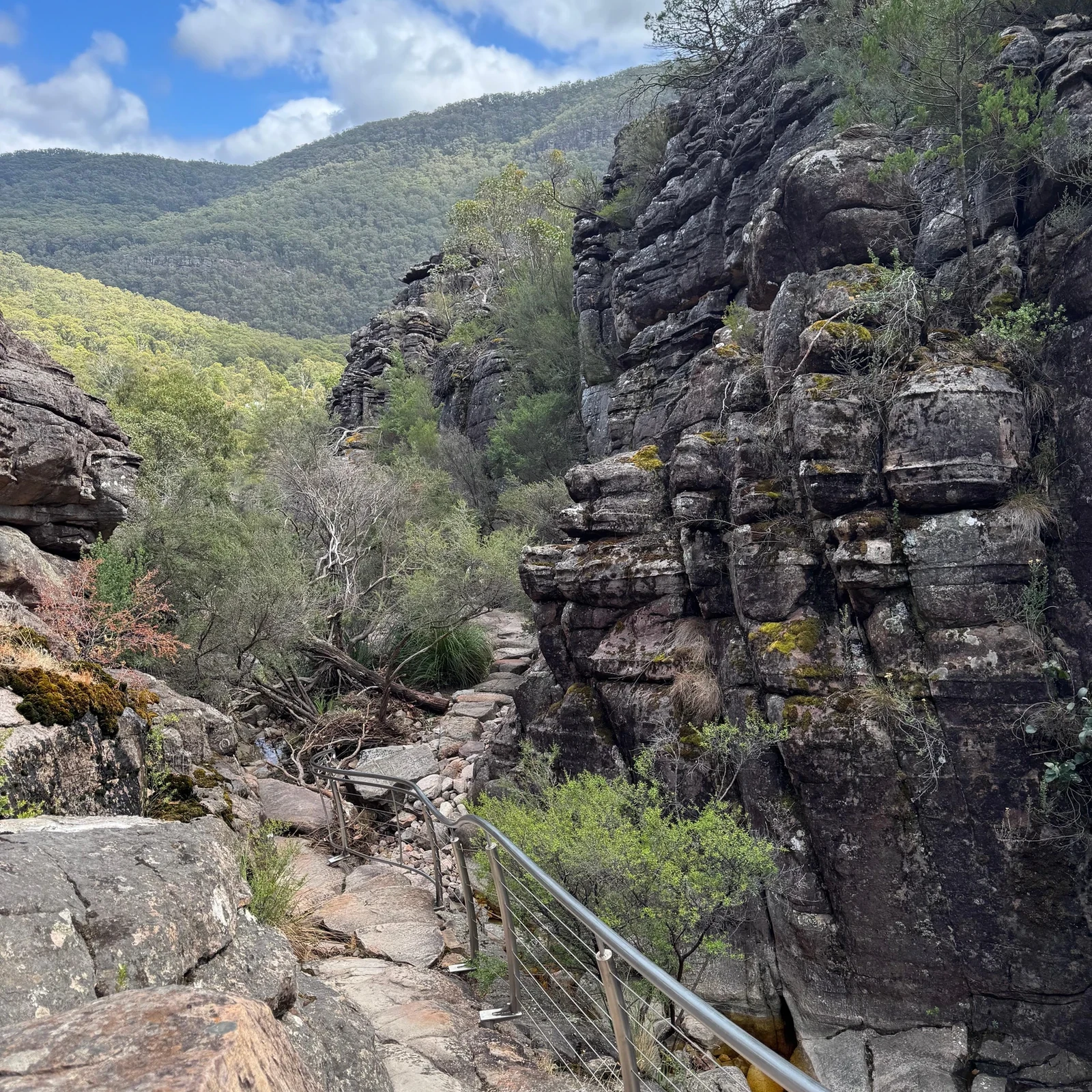 Les Grampians depuis Melbourne : nature, panoramas et faune