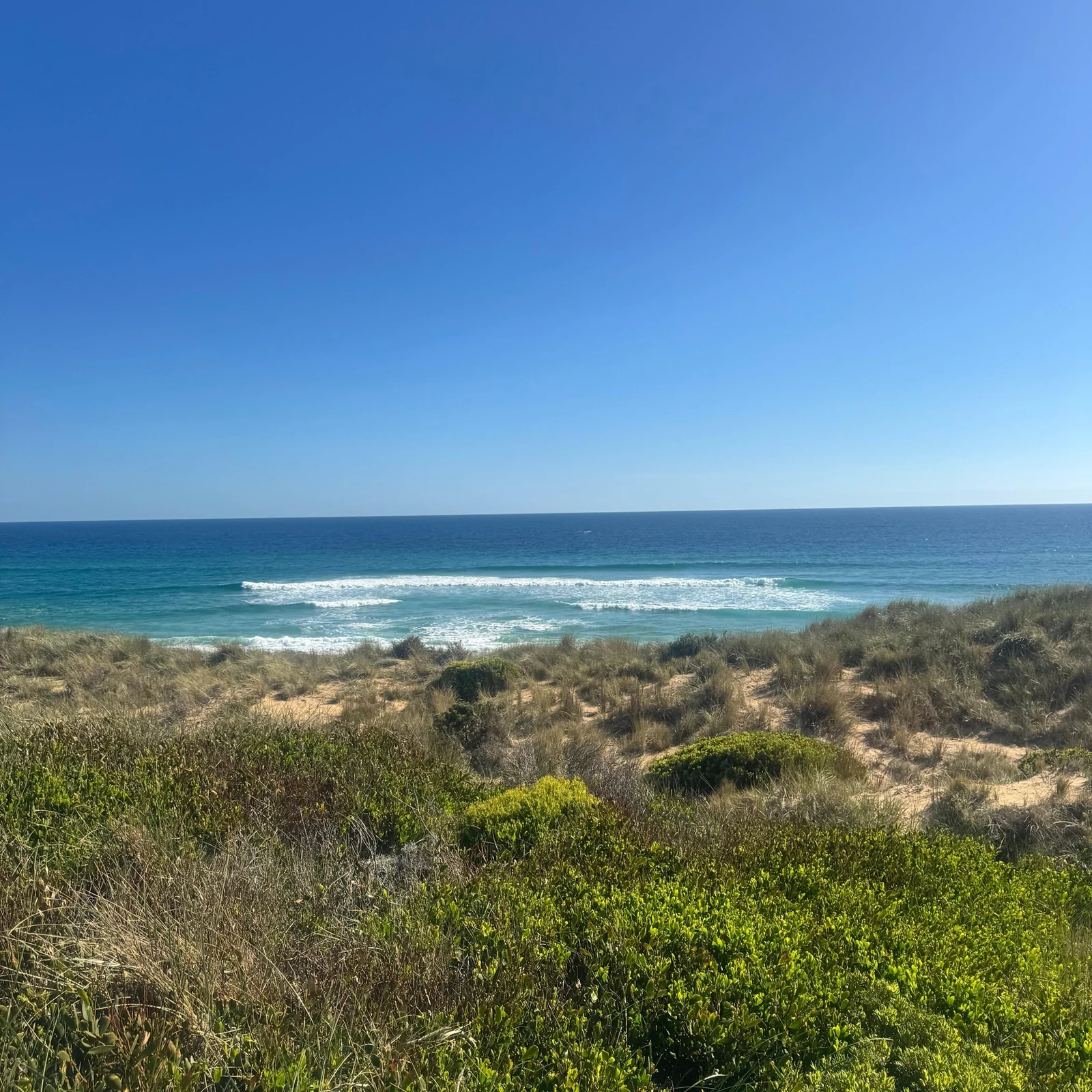 Phillip Island und Penguin Parade bei Sonnenuntergang ab Melbourne