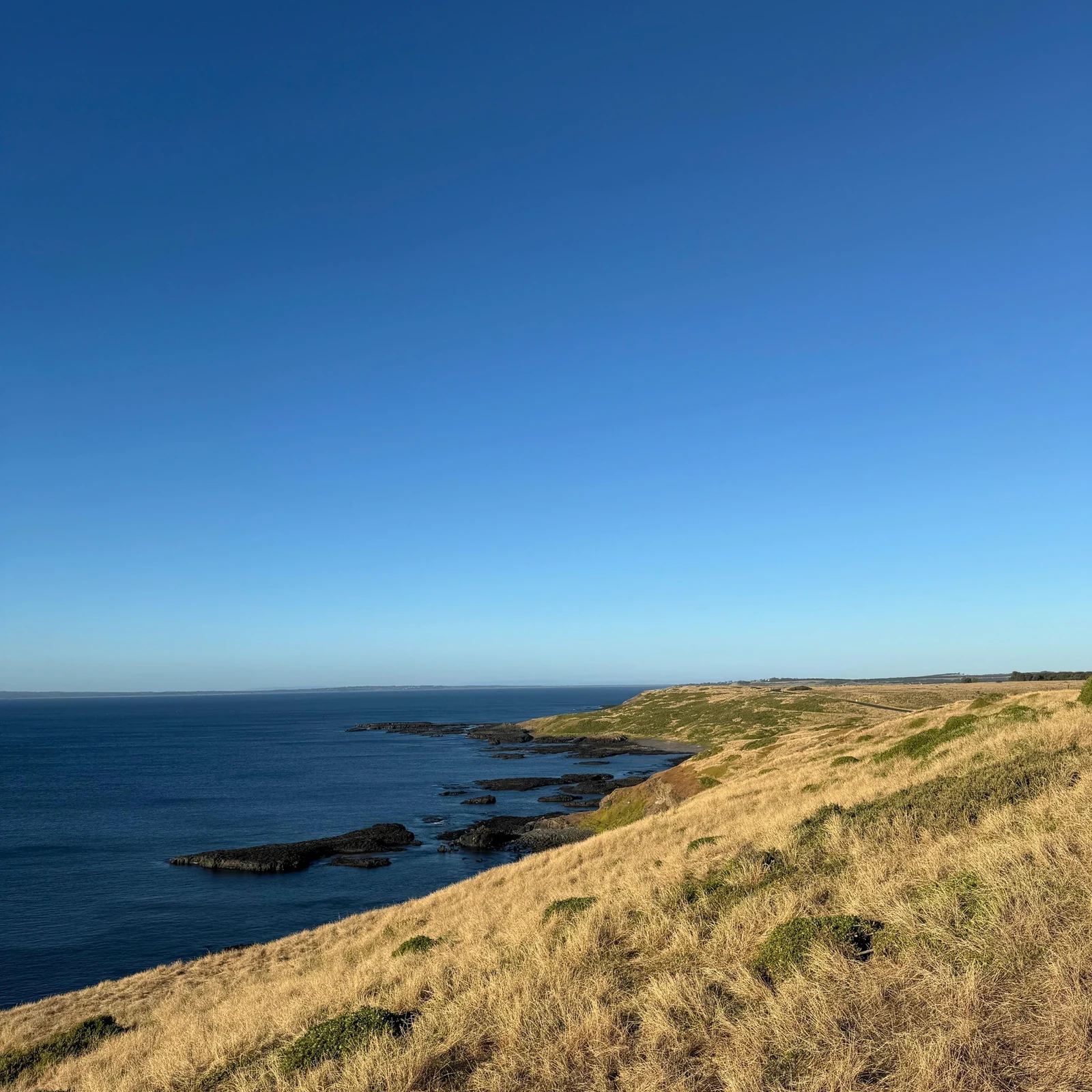 Phillip Island und Penguin Parade bei Sonnenuntergang ab Melbourne