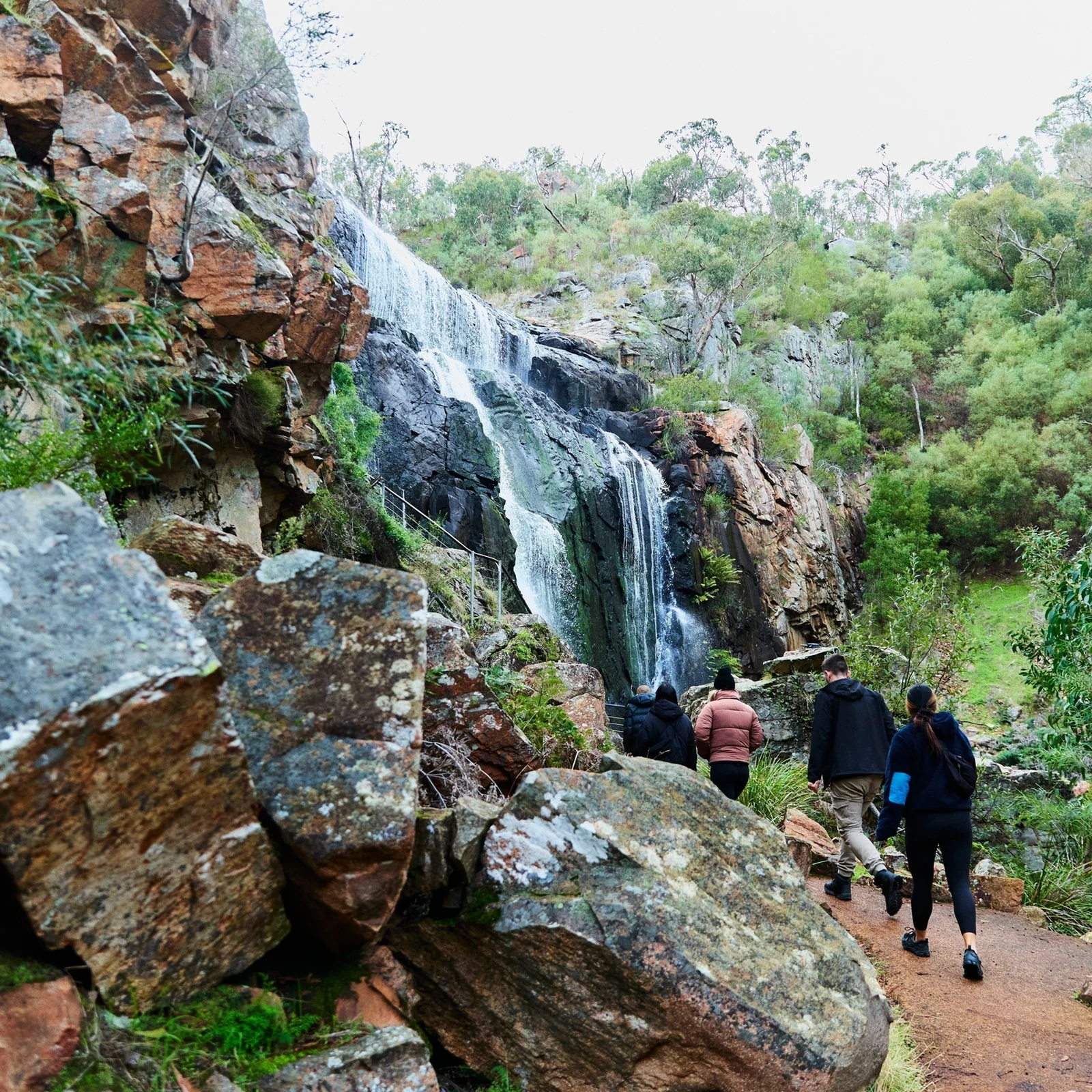Grampians National Park Small-Group Tour from Melbourne