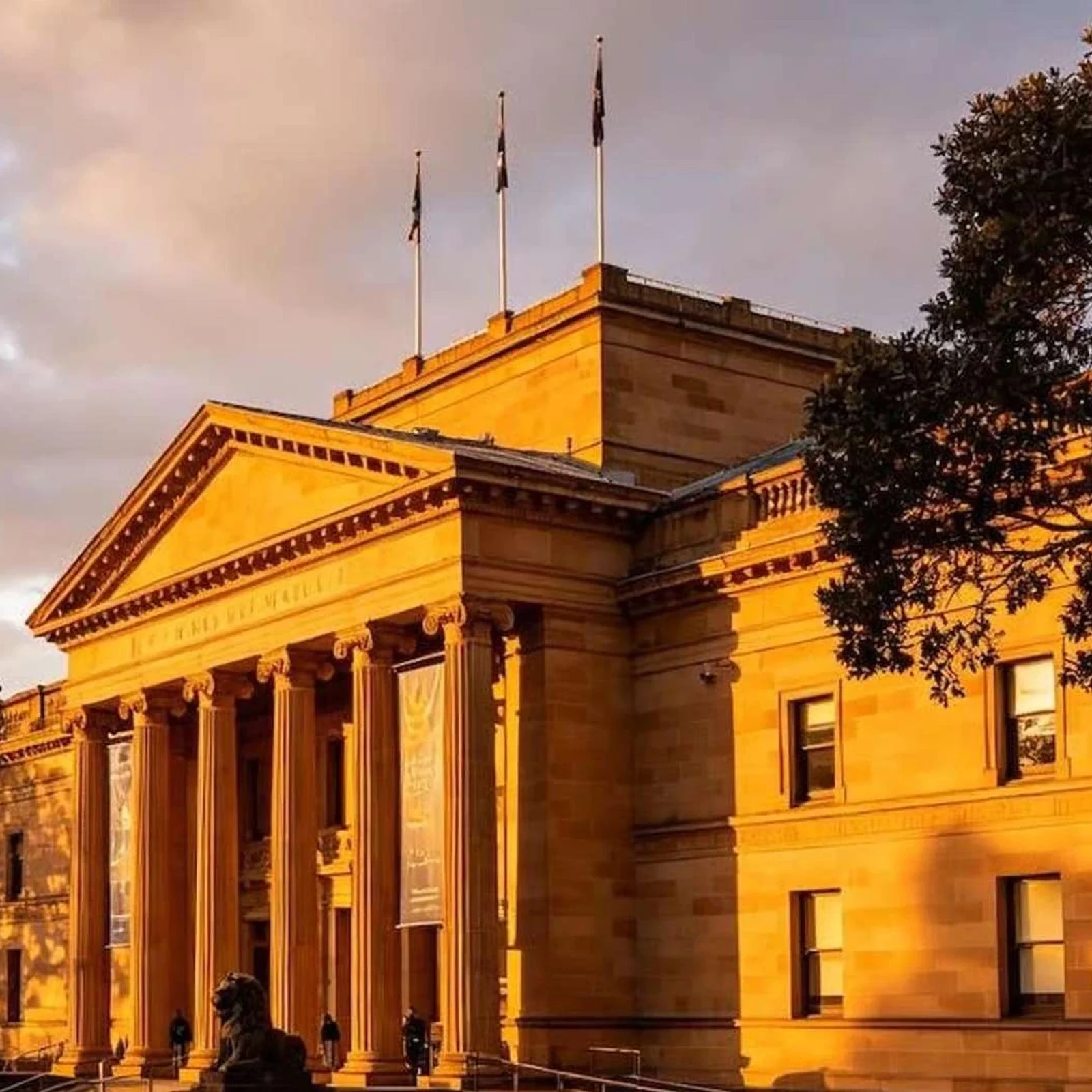 Australian Museum à Sydney avec guide : dinosaures, évolution et secrets du musée