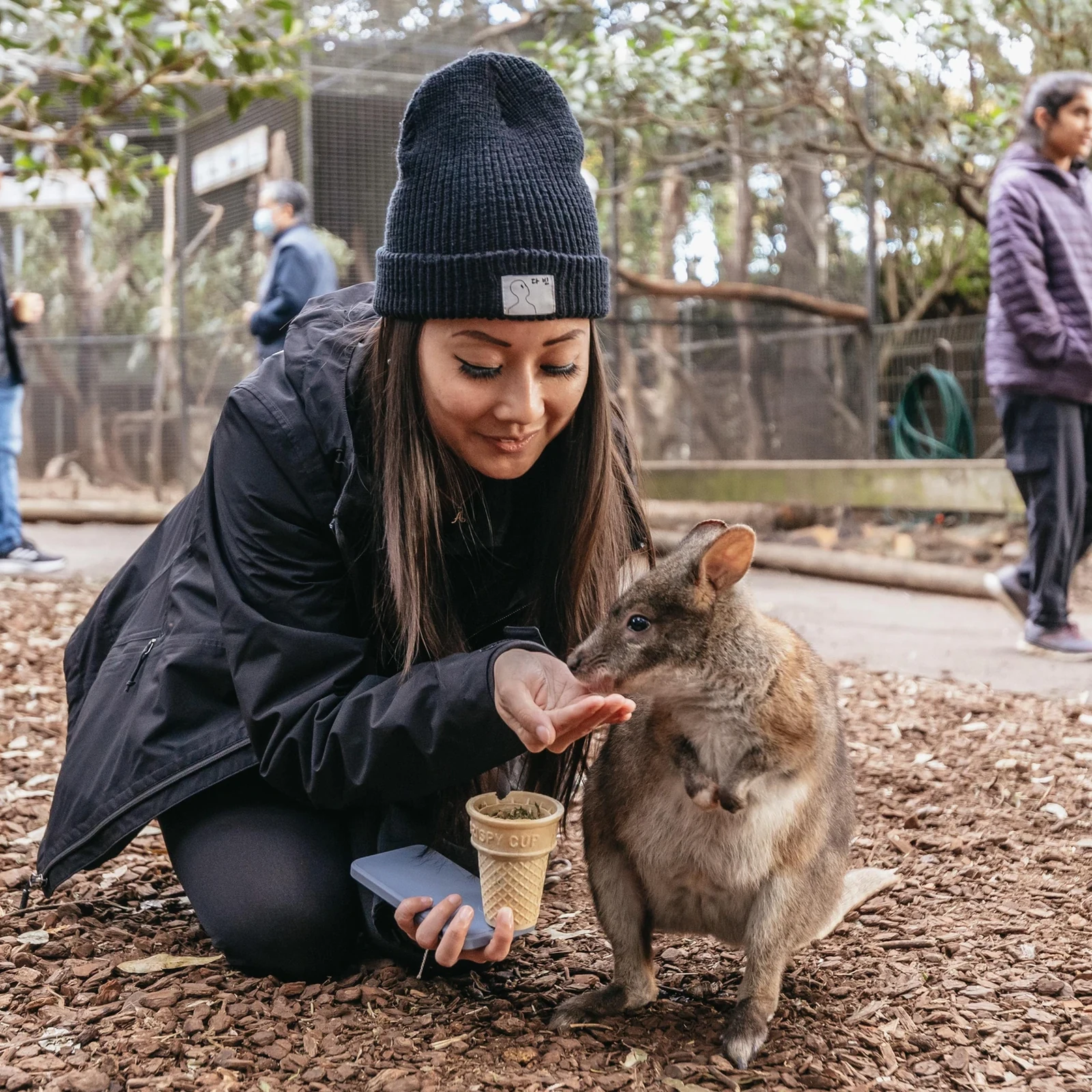 Blue Mountains Tour ab Sydney mit Scenic World und Tierwelt
