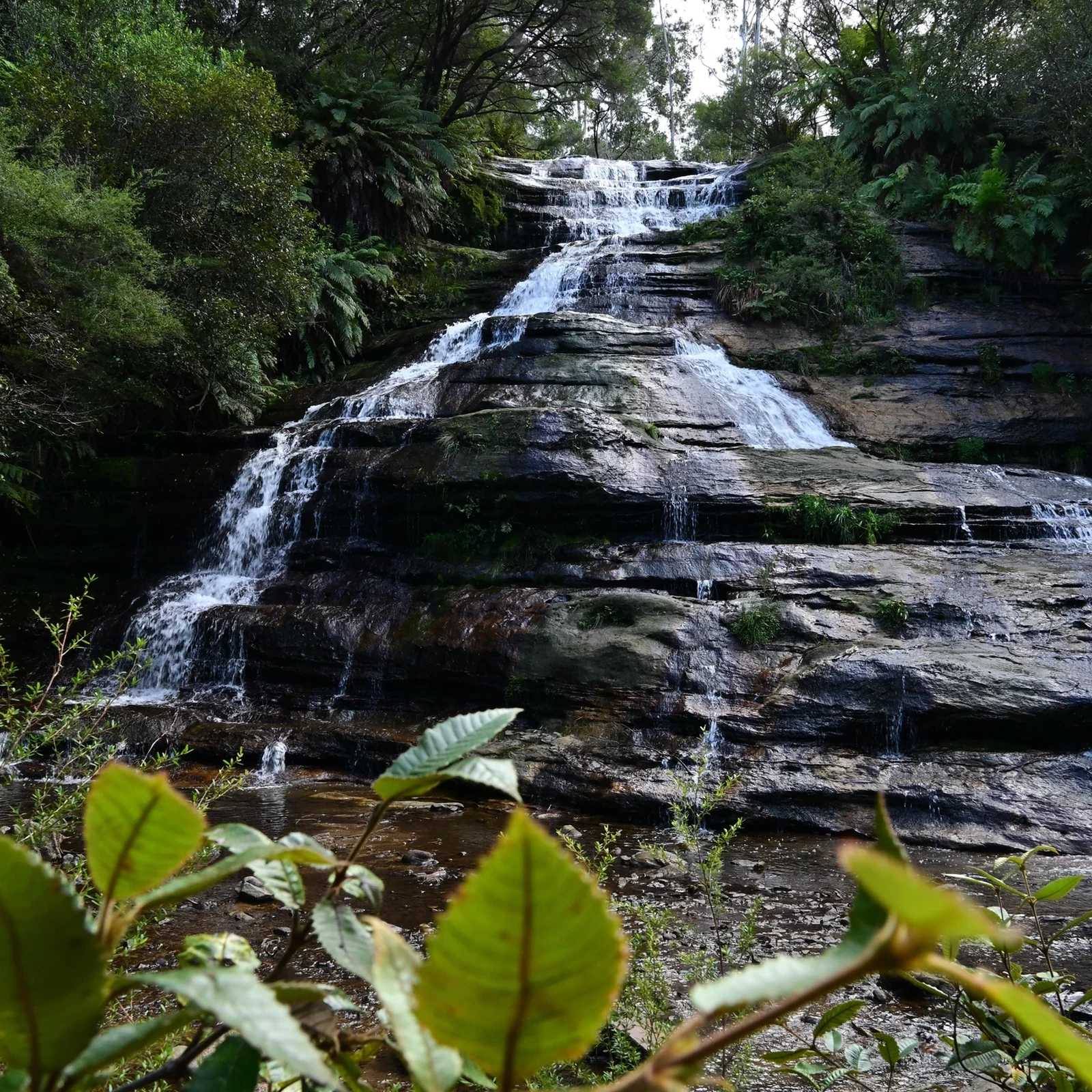 Blue Mountains Tour ab Sydney mit Three Sisters & Scenic World