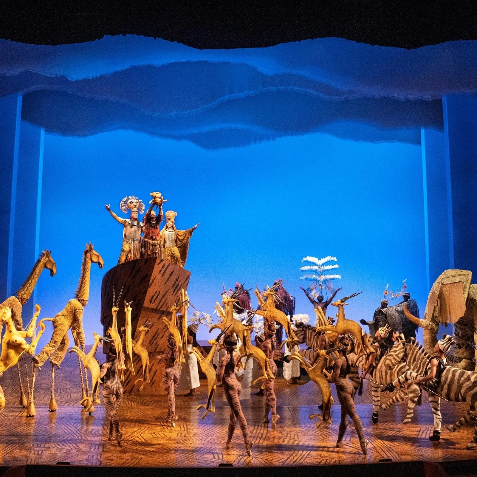 THE LION KING à Sydney : une grande production de Broadway au Capitol Theatre